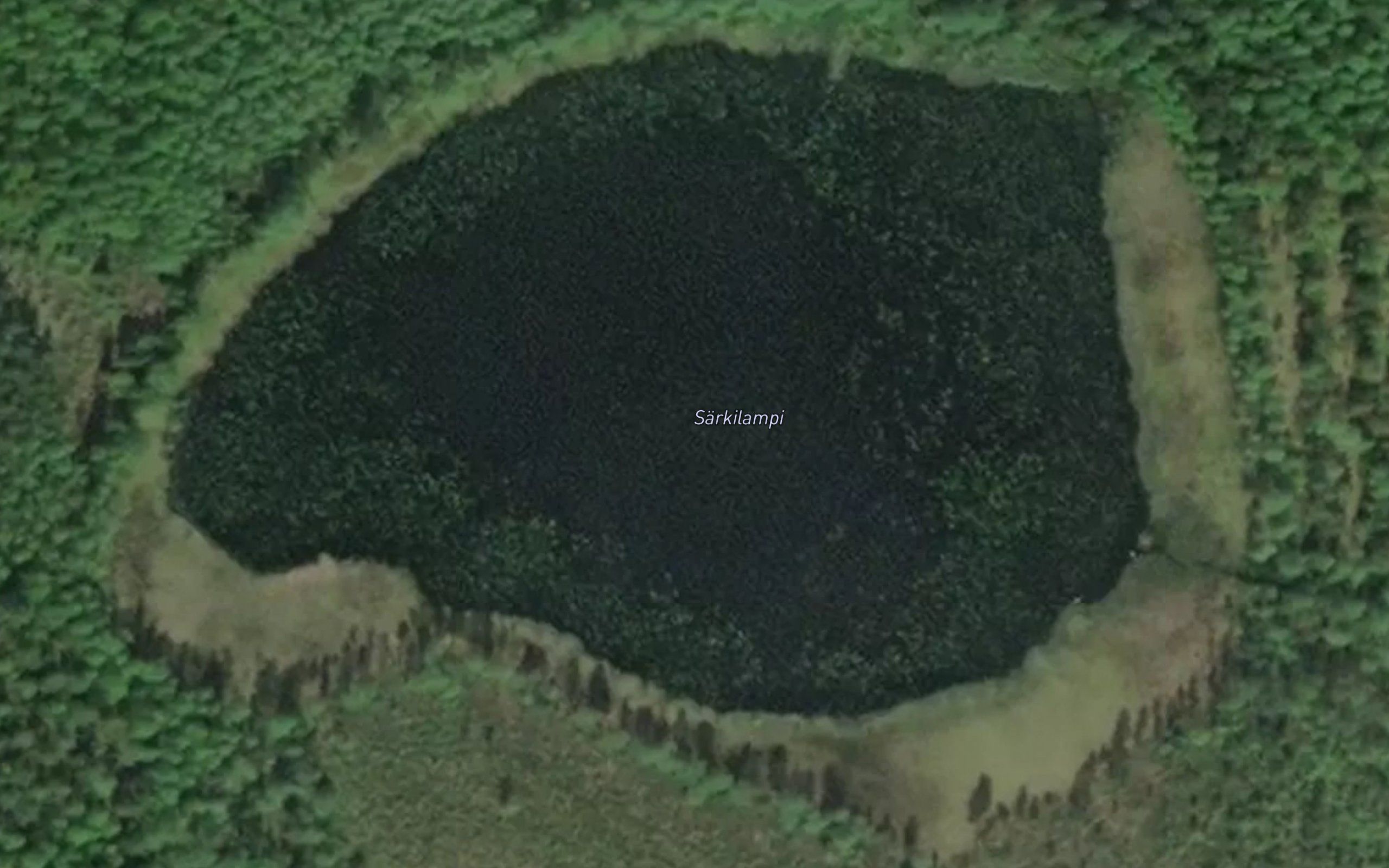 Sarkilampi
