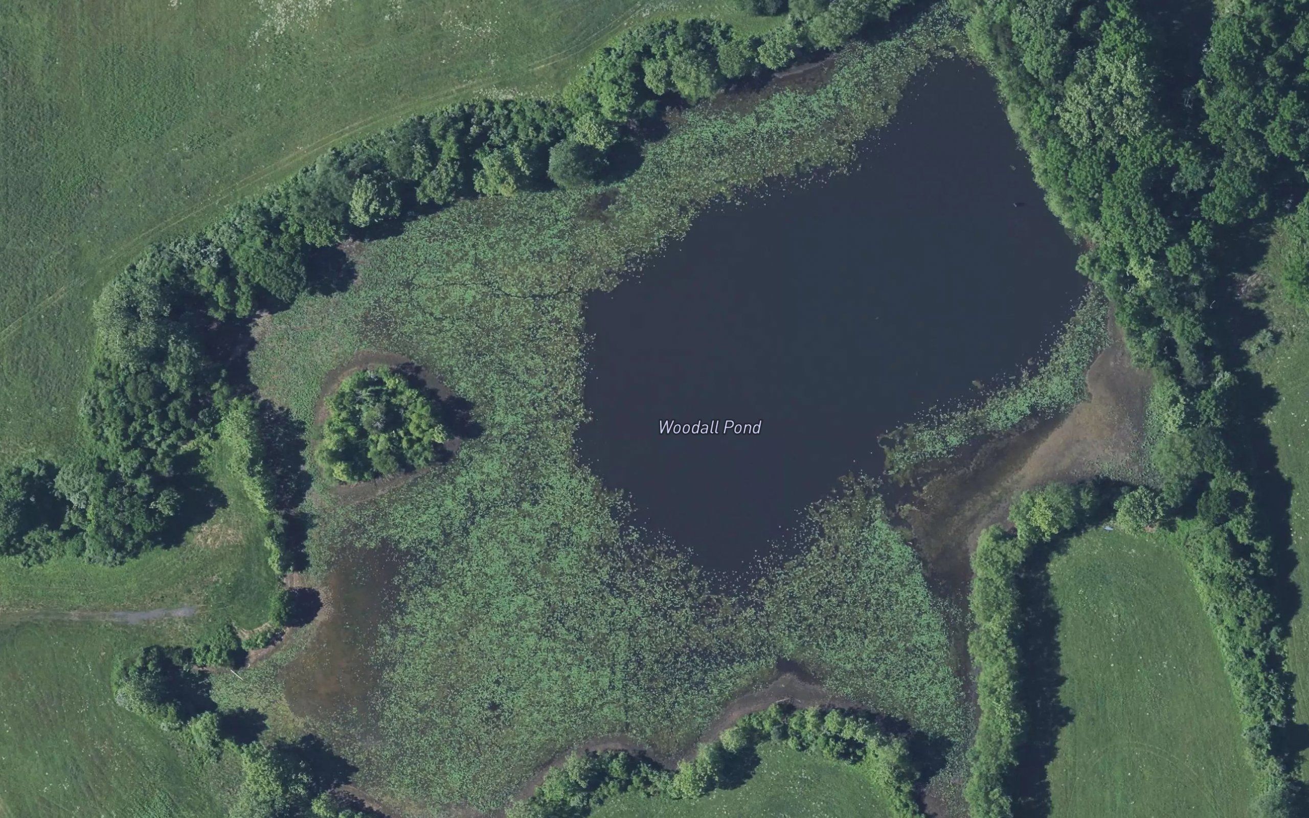 Woodall Pond
