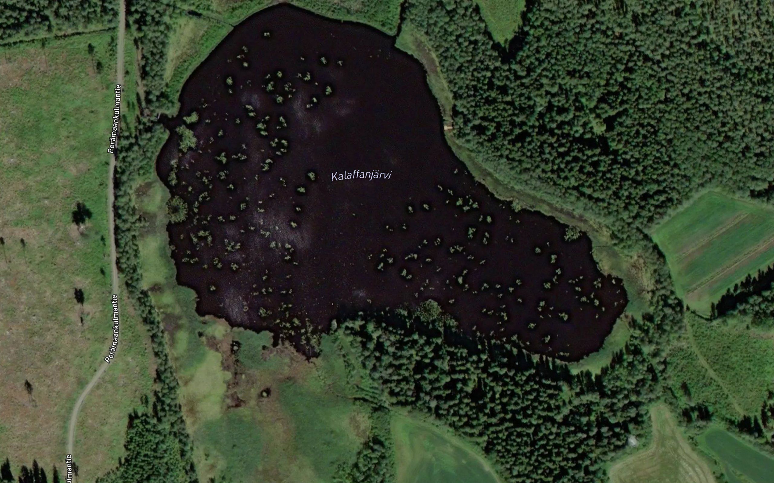 Kalaffanjarvi