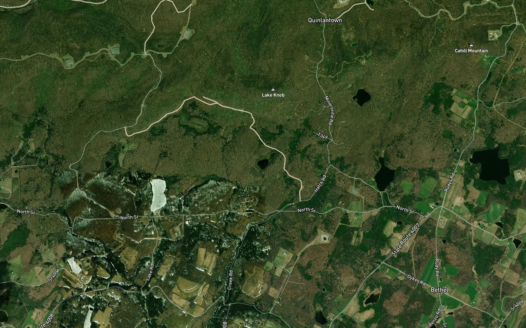 Satellite map of the Williams Lake