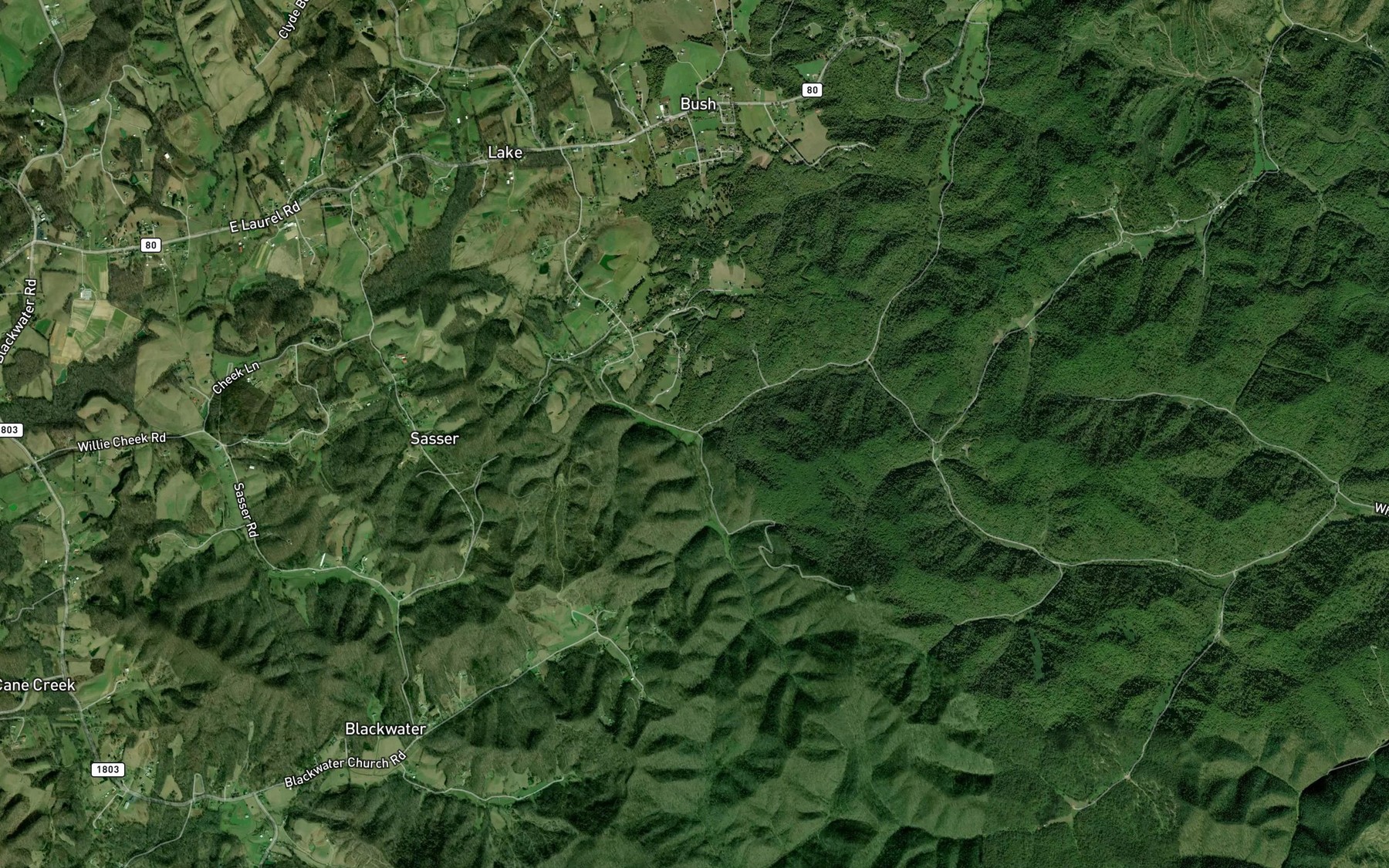 Satellite map of the Tuttle Branch