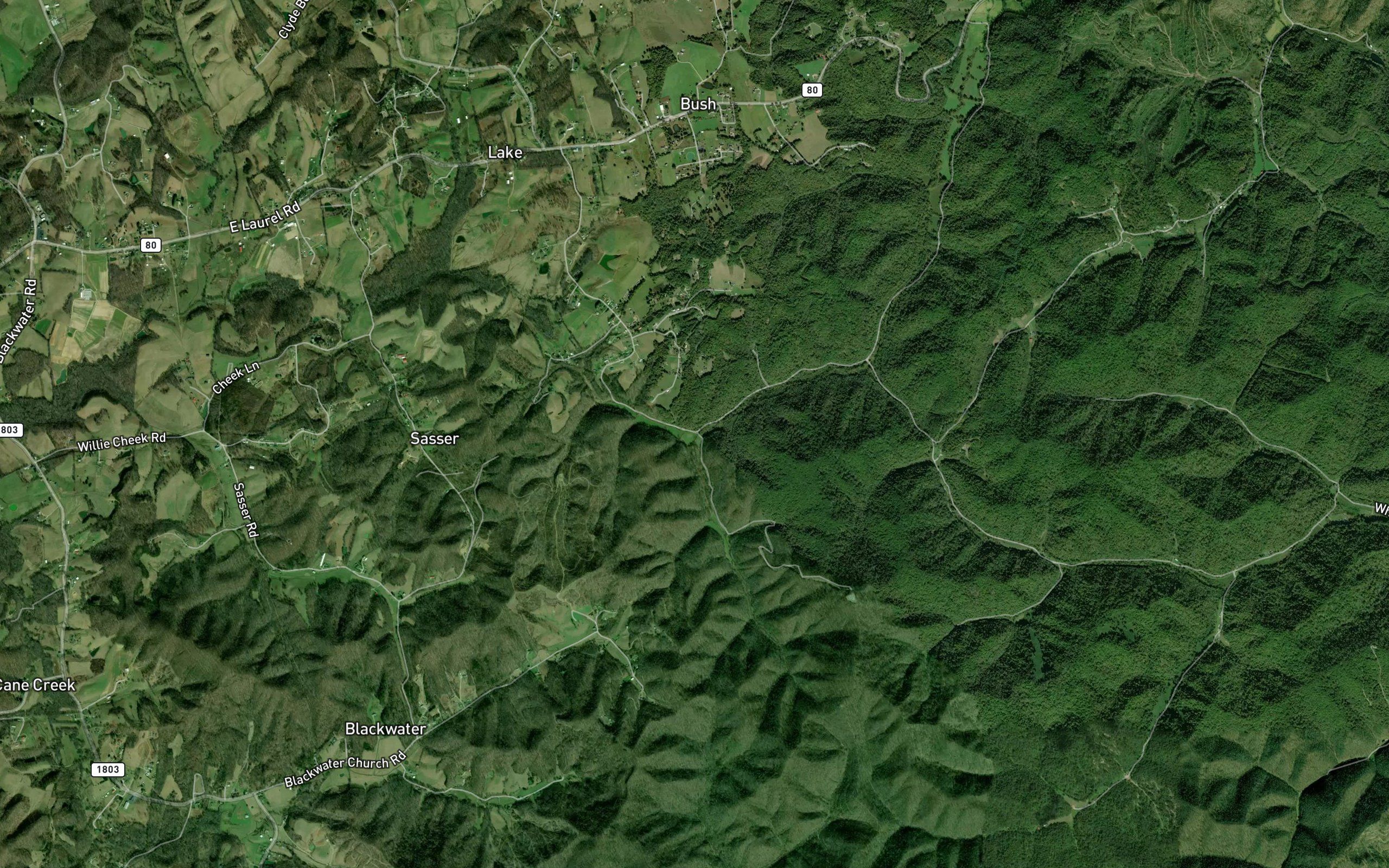 Tuttle Branch