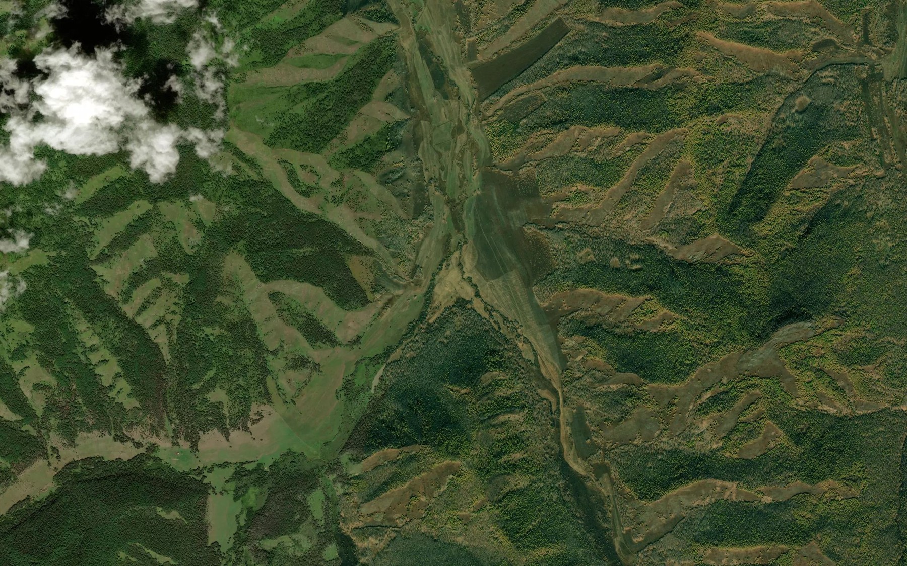 Satellite map of the Pryamaya