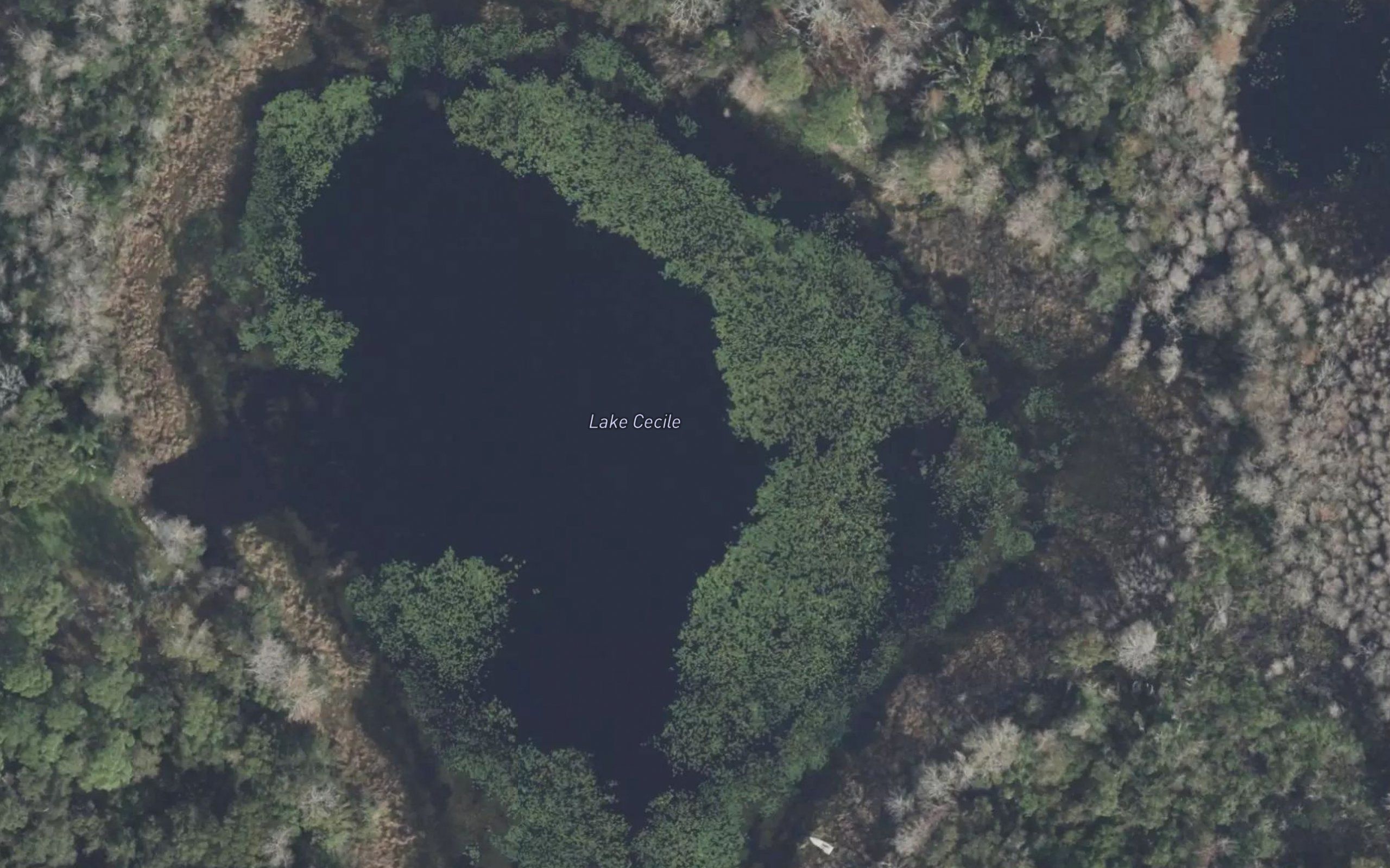 Lake Cecile