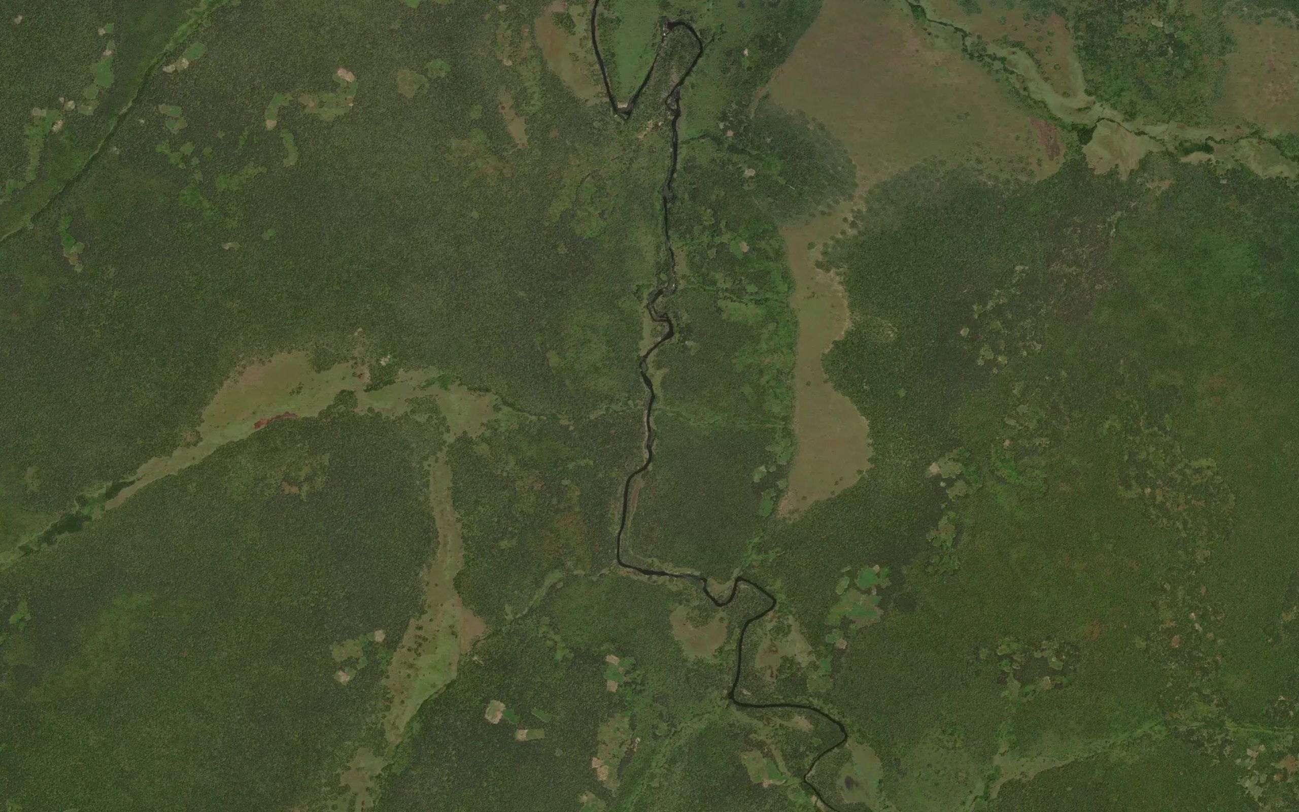Tshampoka