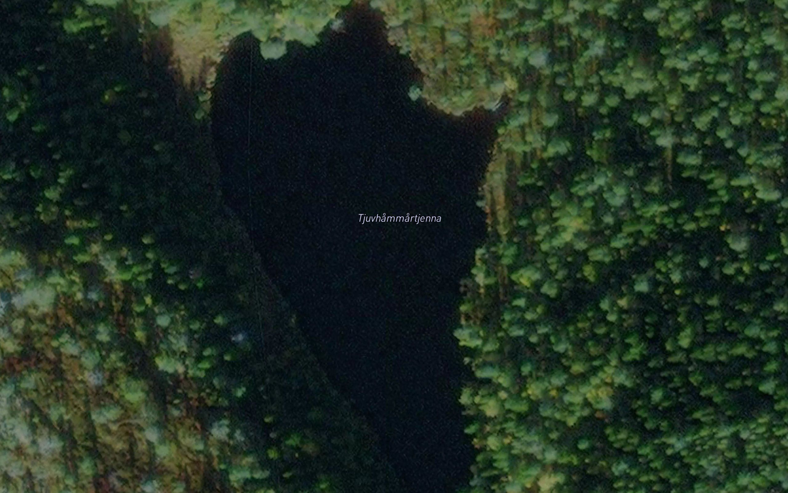 Tjuvhammartjorna