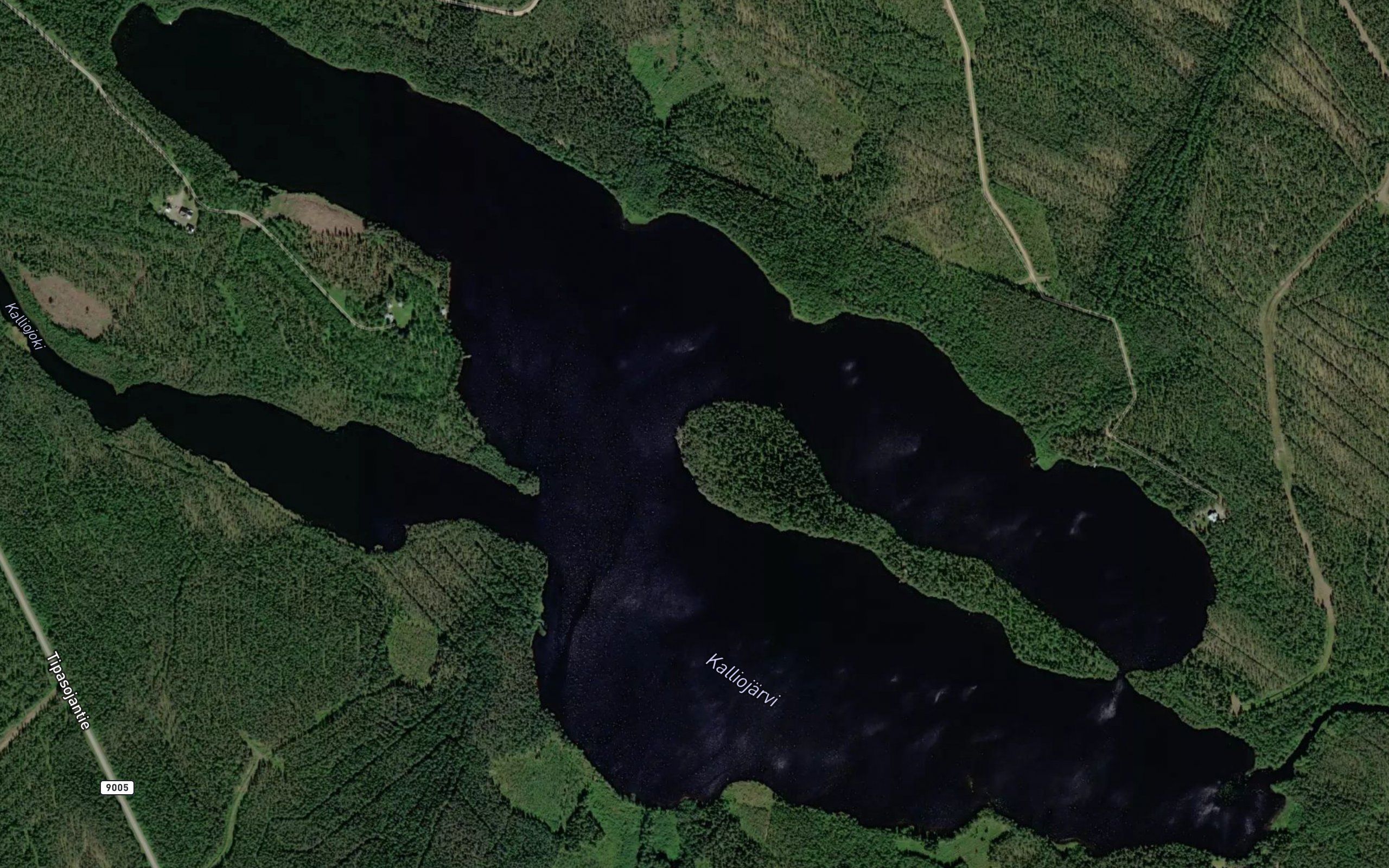 Kalliojarvi