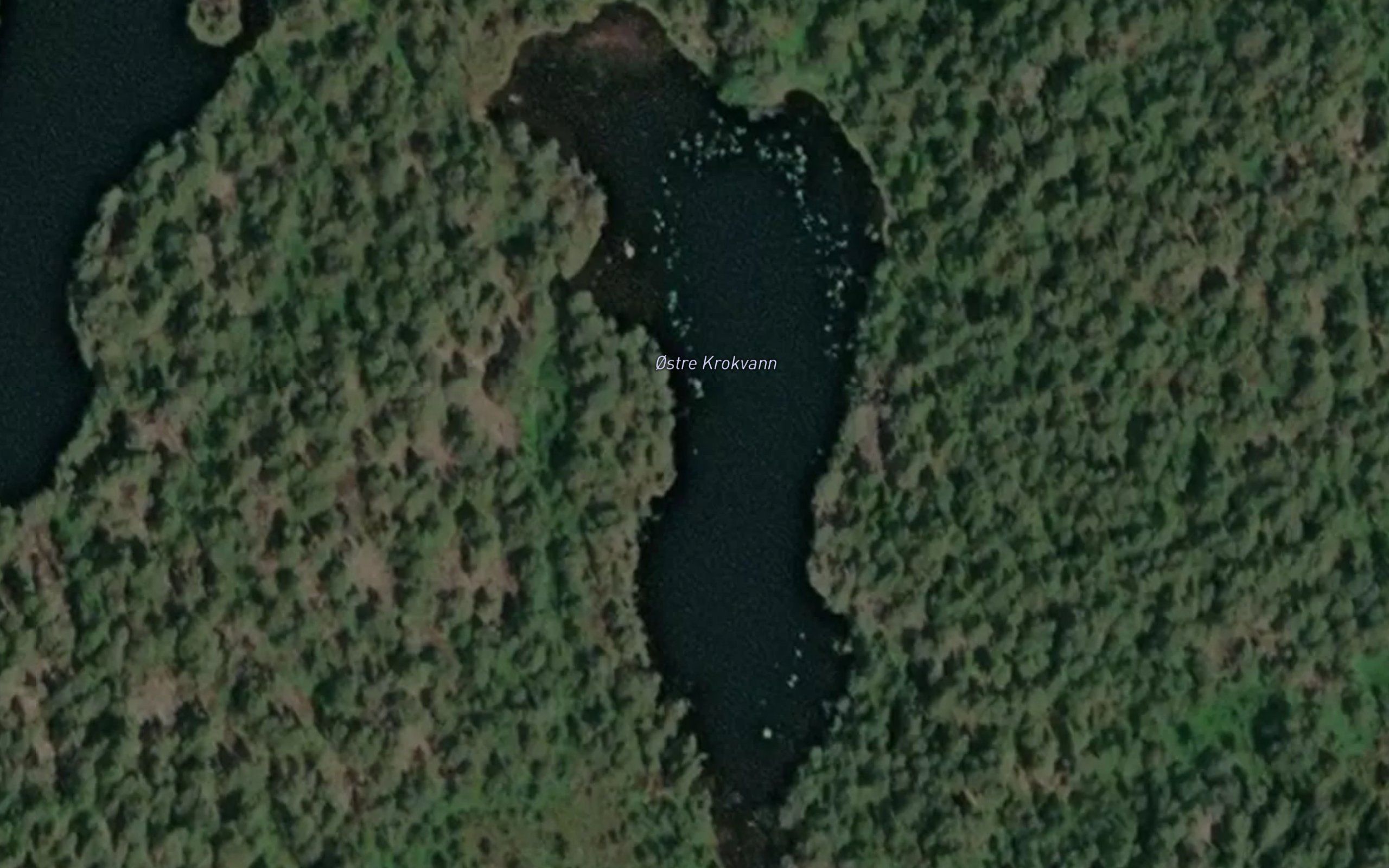 Ostre Krokvann