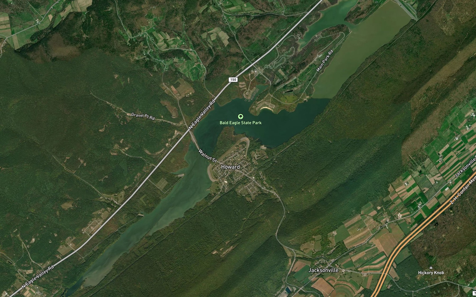 Satellite map of the Foster Joseph Sayers Lake
