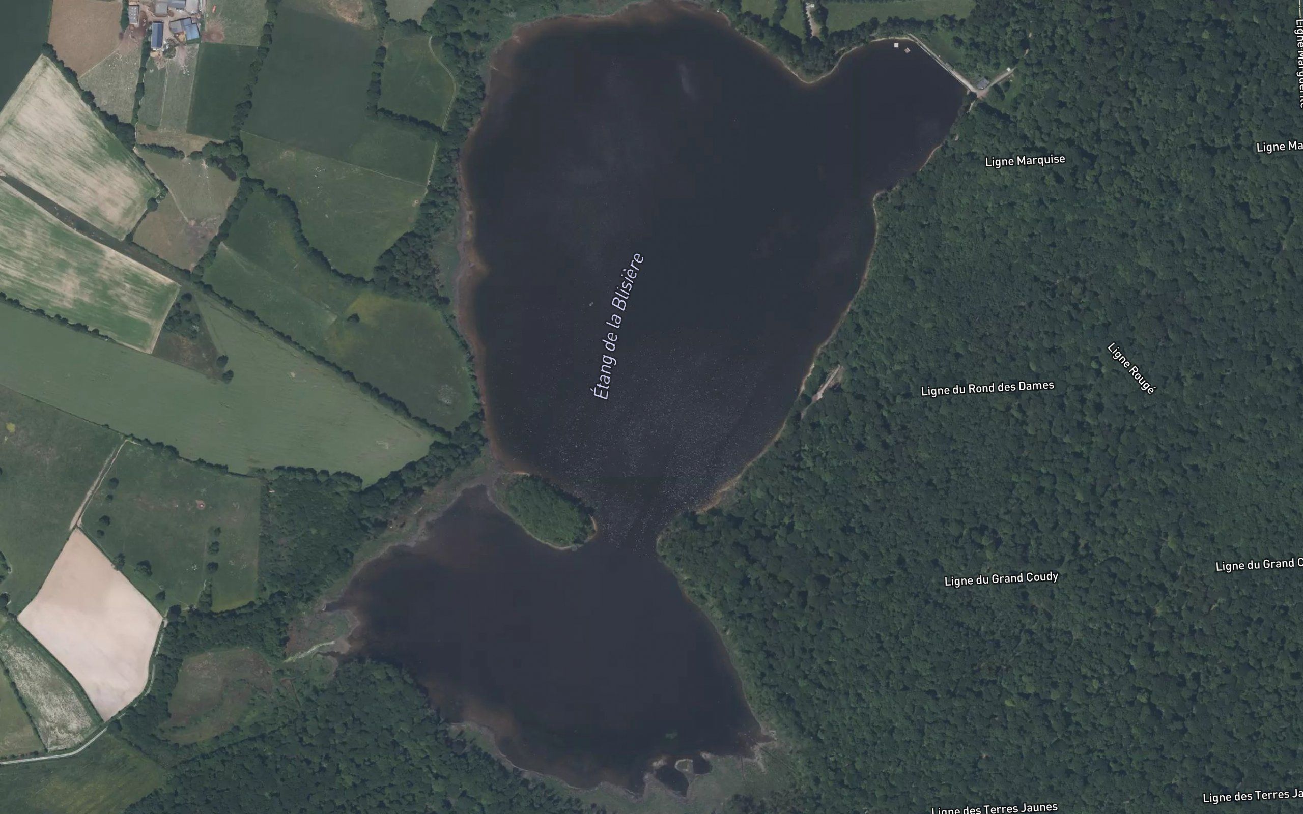 Etang de La Blisiere