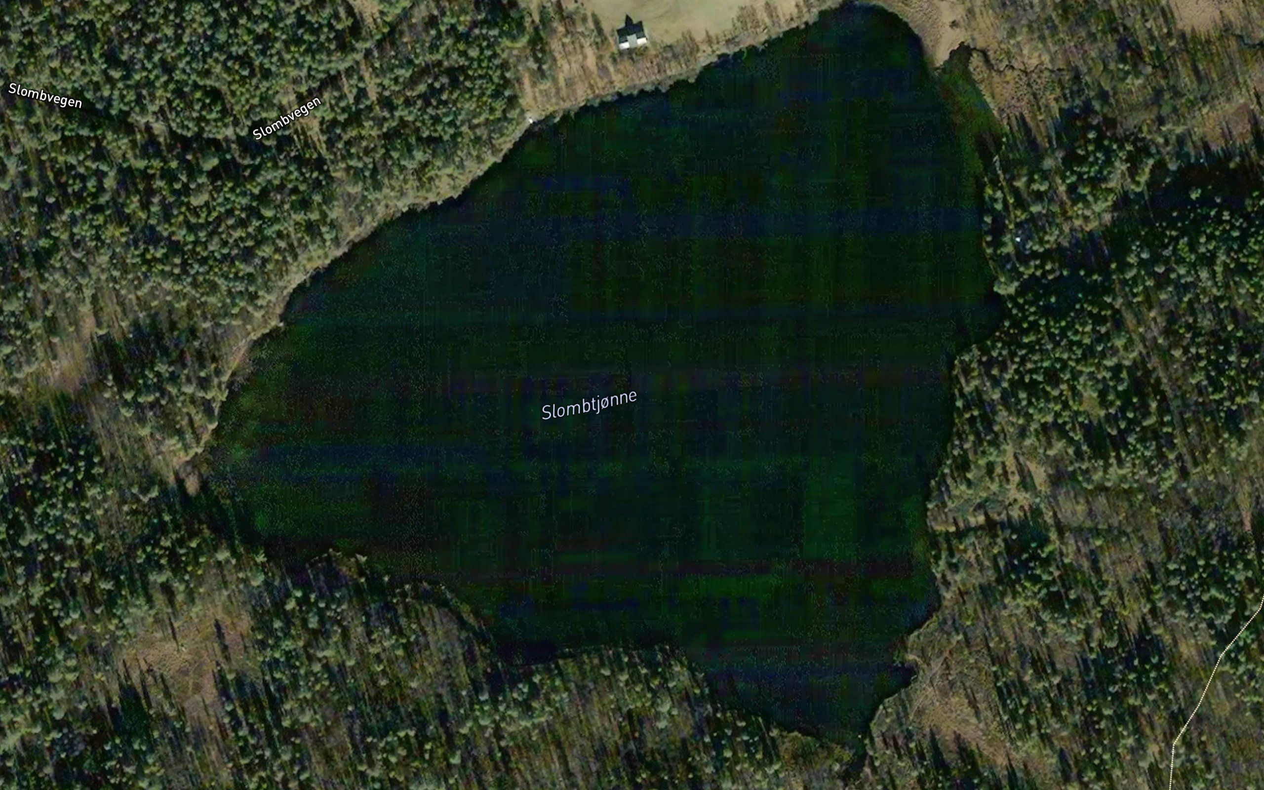 Slomtjorni