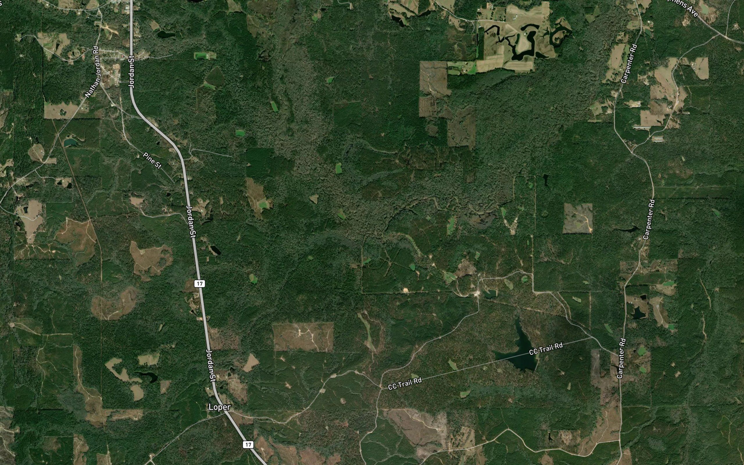 Taylors Creek