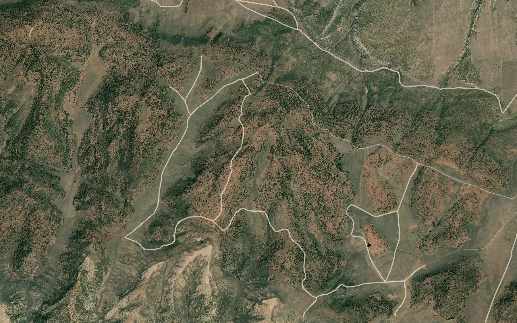 Satellite map of the Daisy Spring