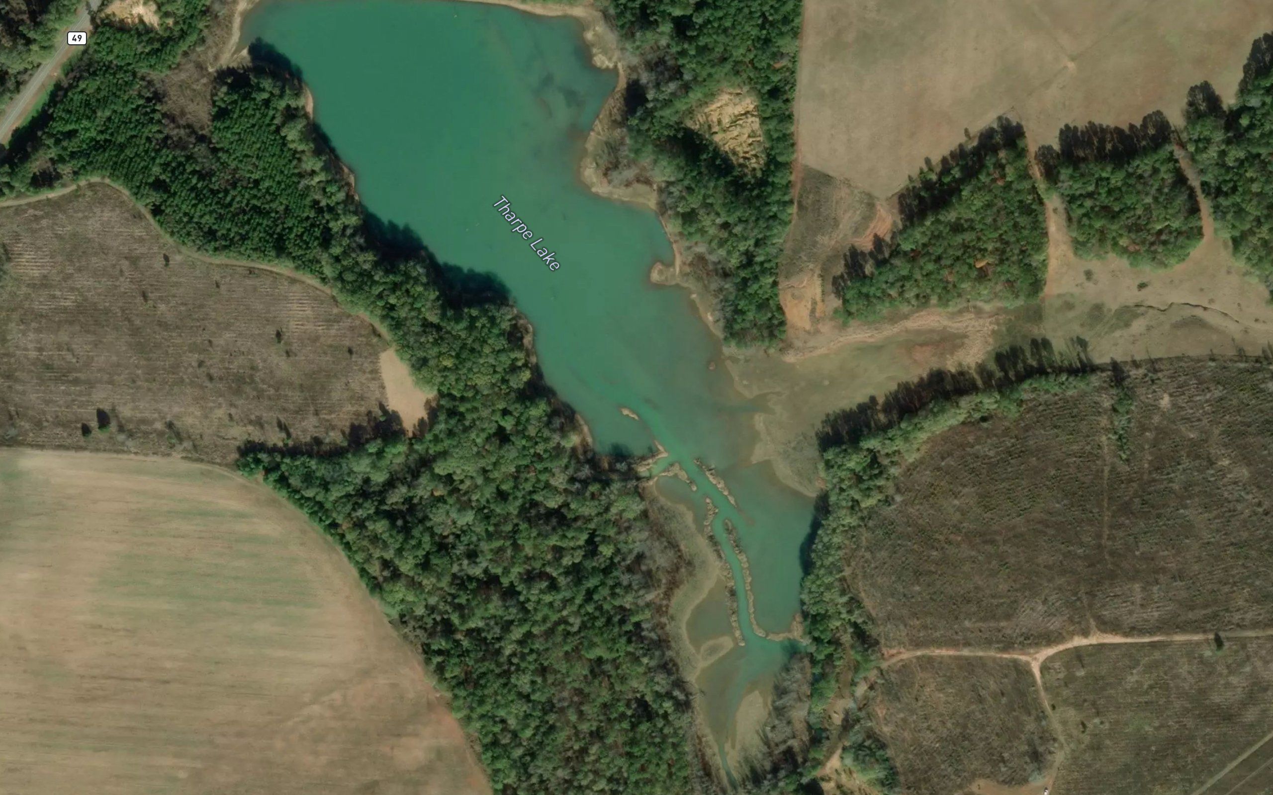 Tharpe Lake
