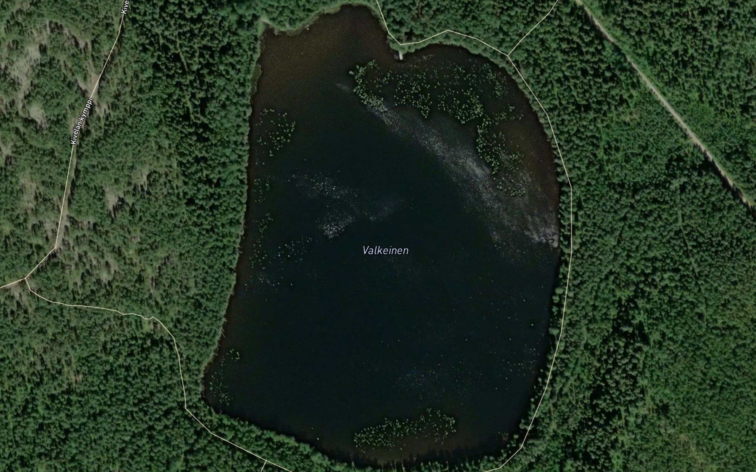 Valkeinen