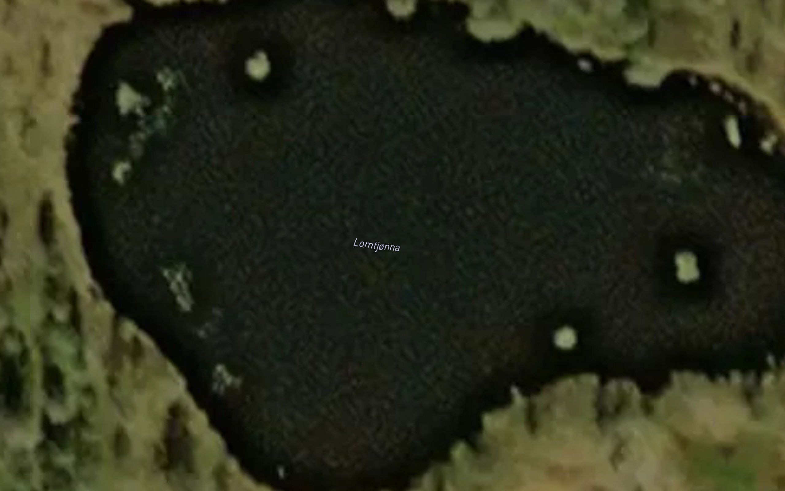 Lomtjorna