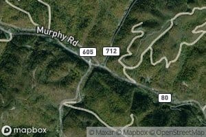 Hollow Poplar Branch