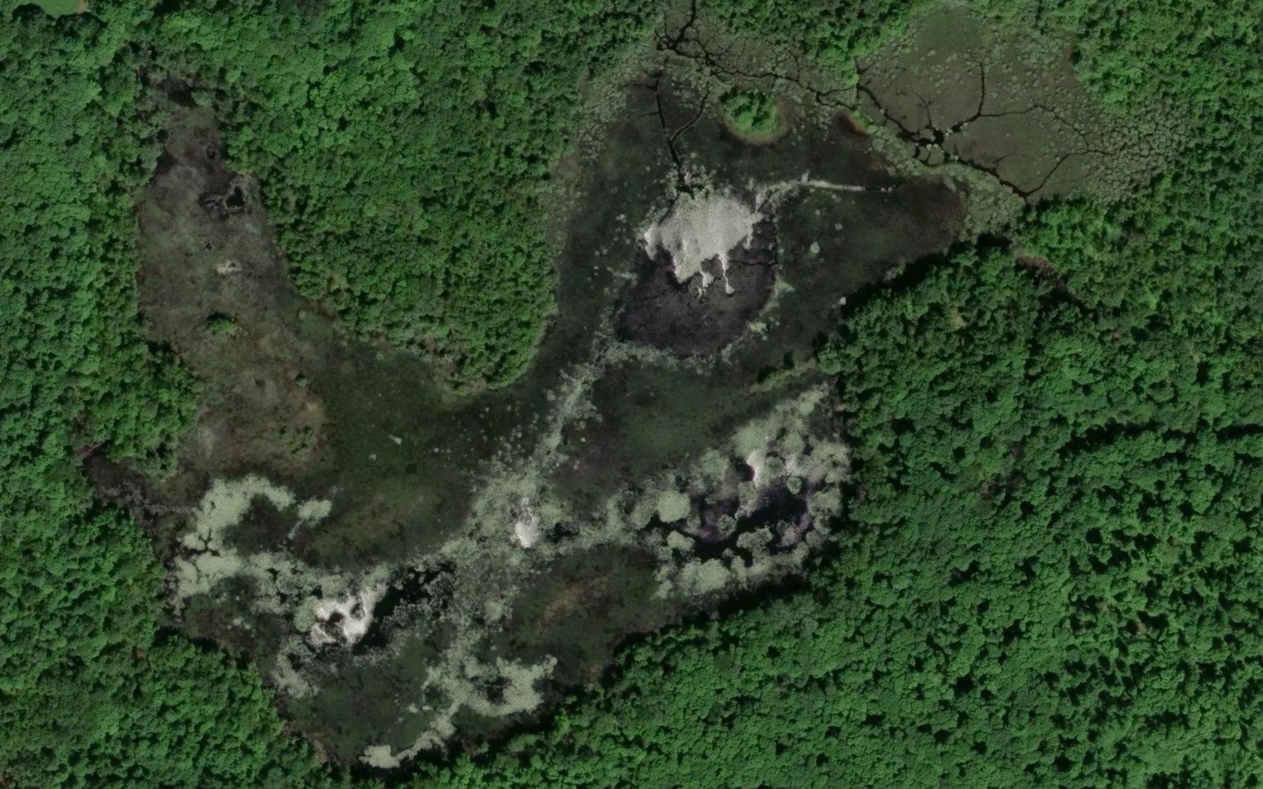 Satellite map of the Boaz Lake
