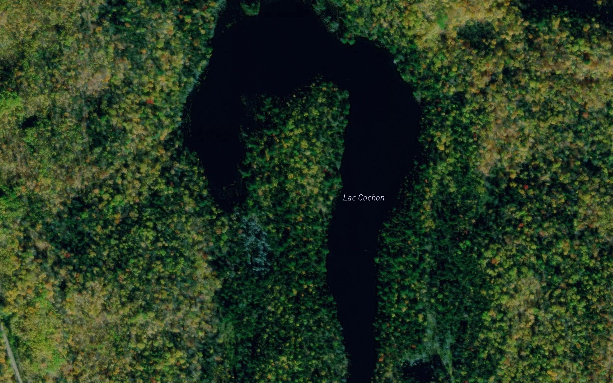 Lac Cochon