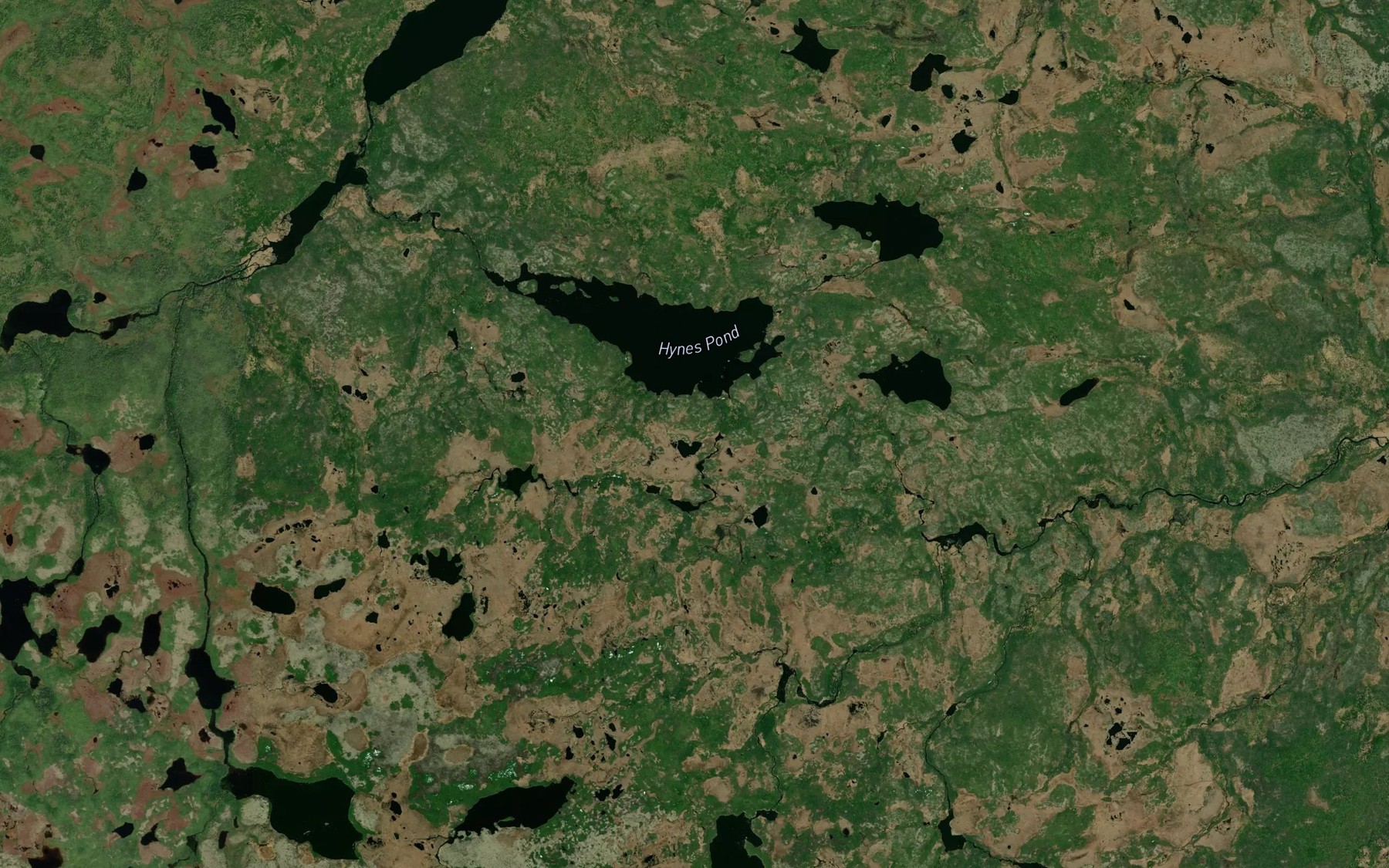 Satellite map of the Hynes Pond
