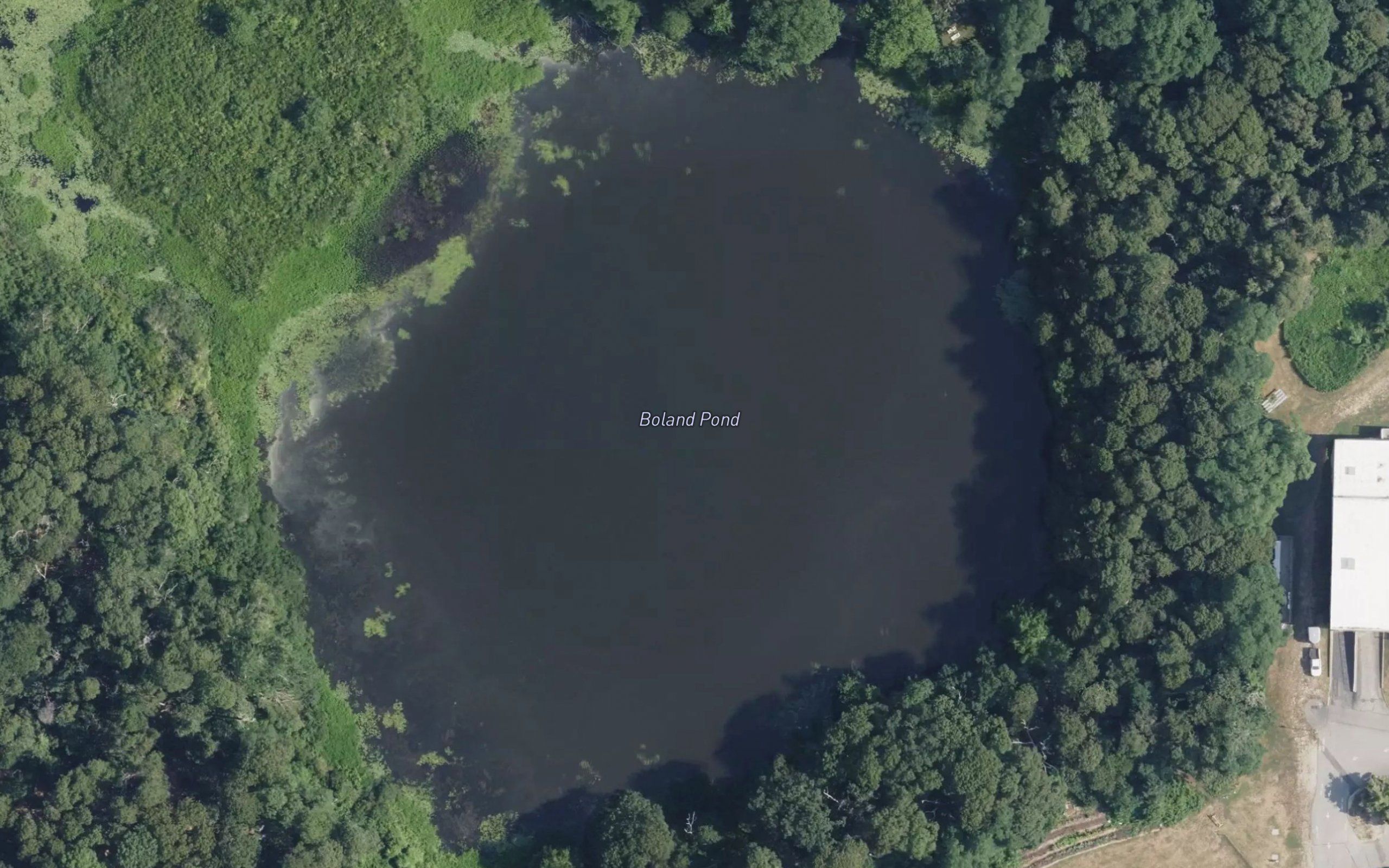 Boland Pond