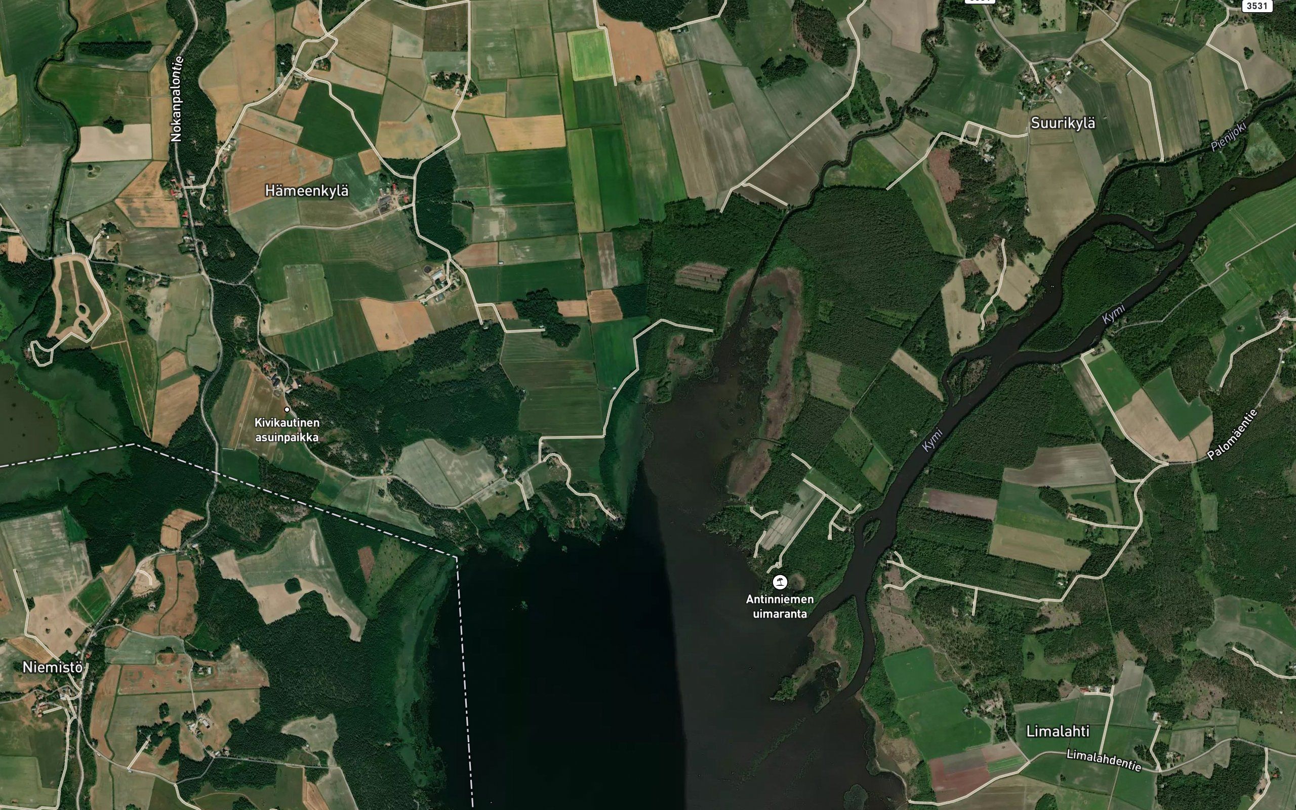 Koivisniitynviepa