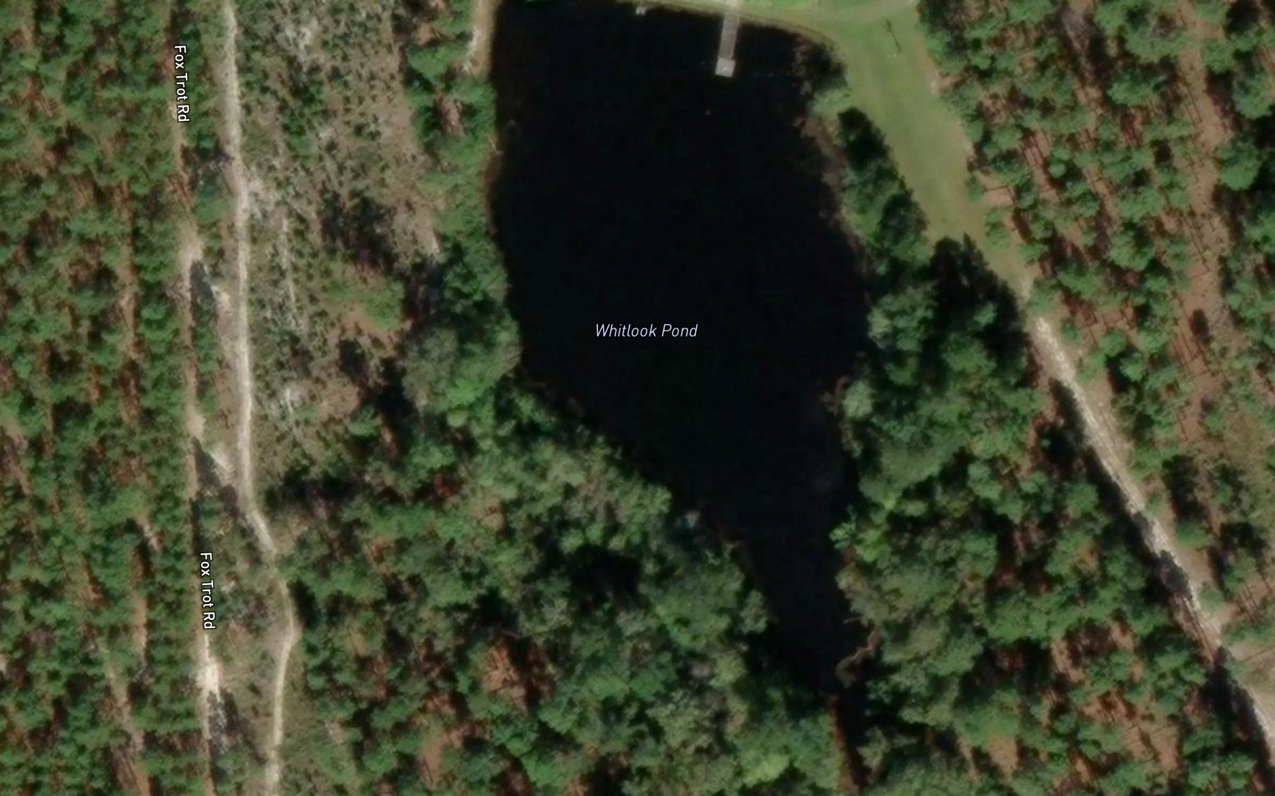 Whitlook Pond