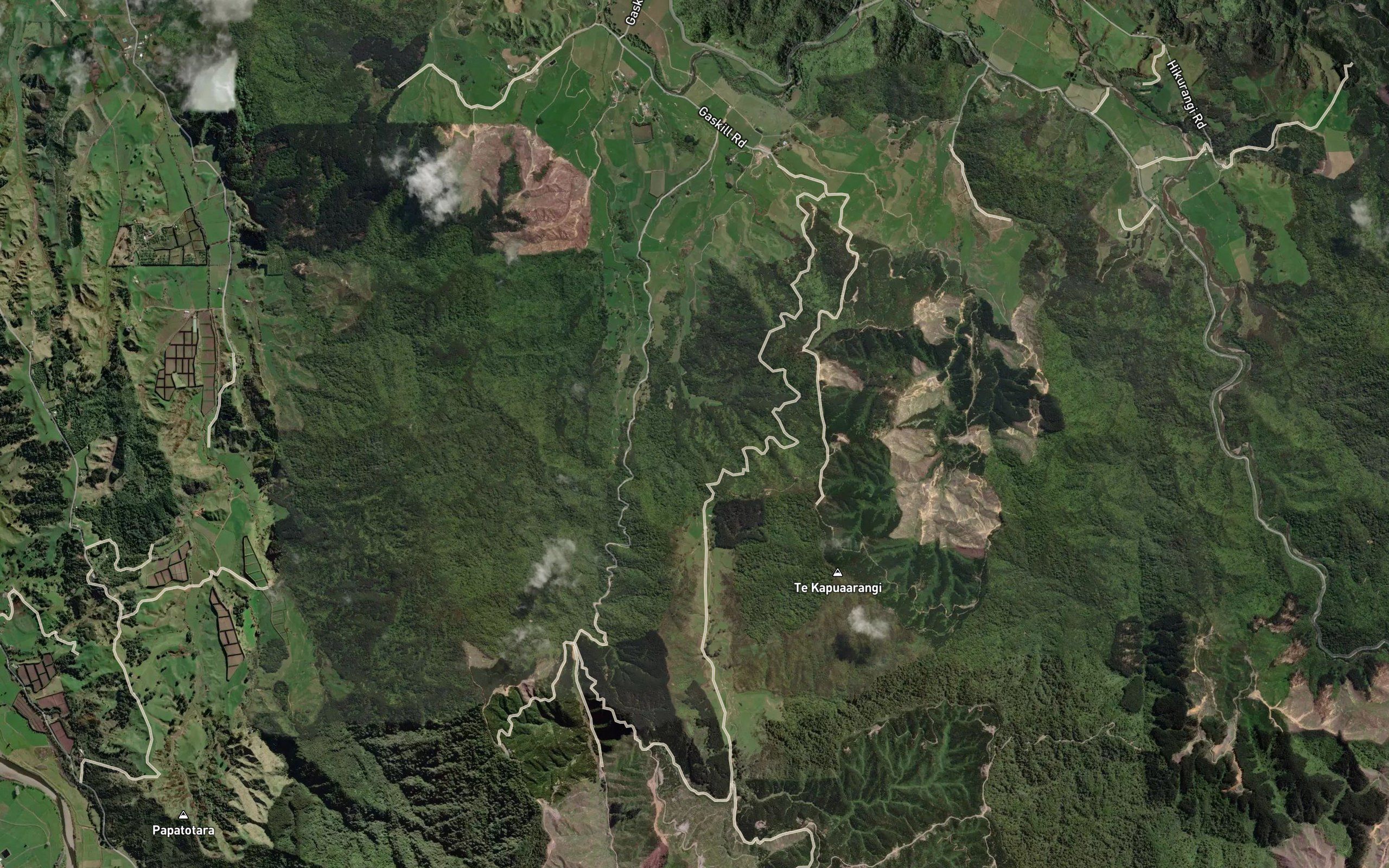 Taipouri Stream