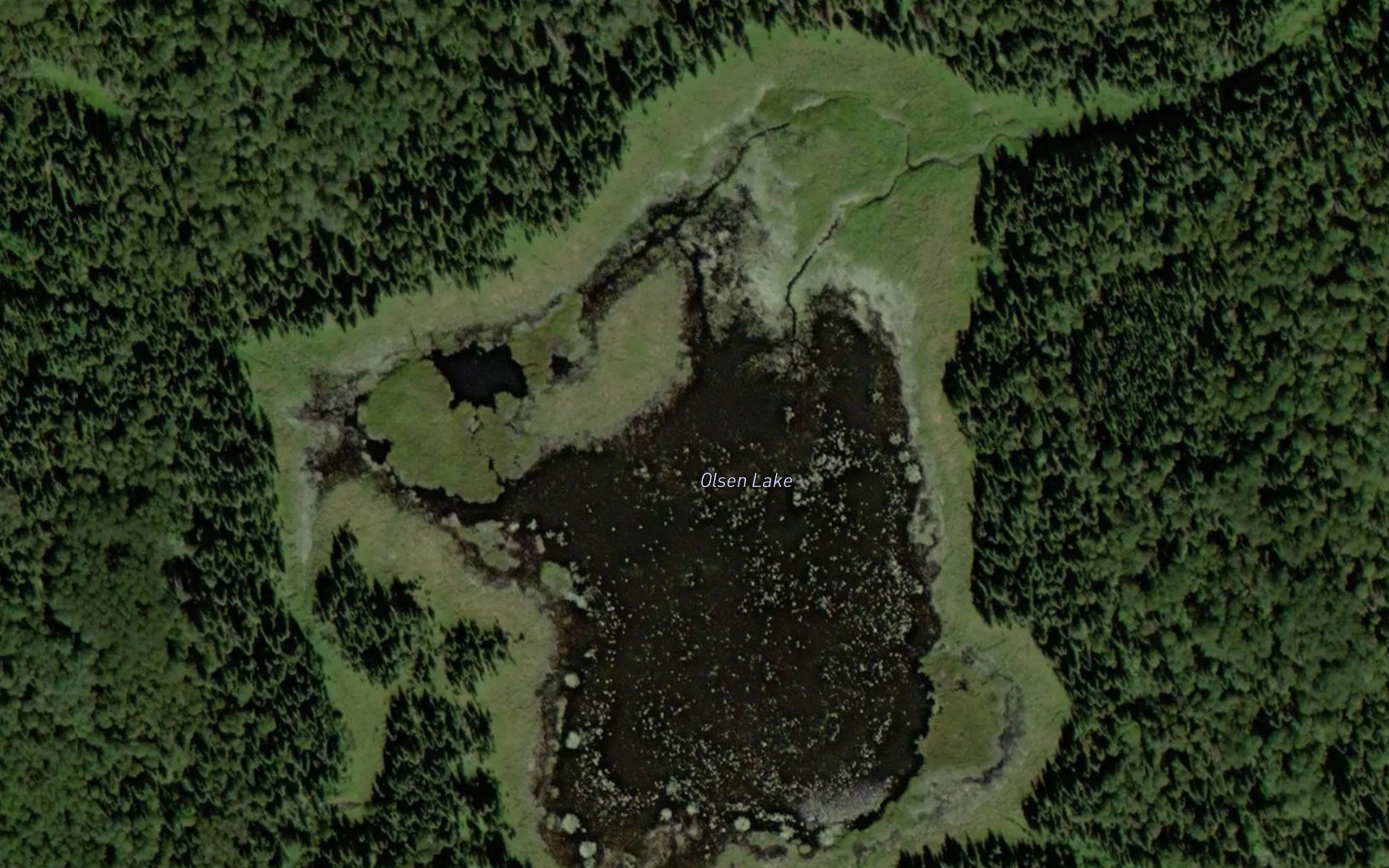Olsen Lake
