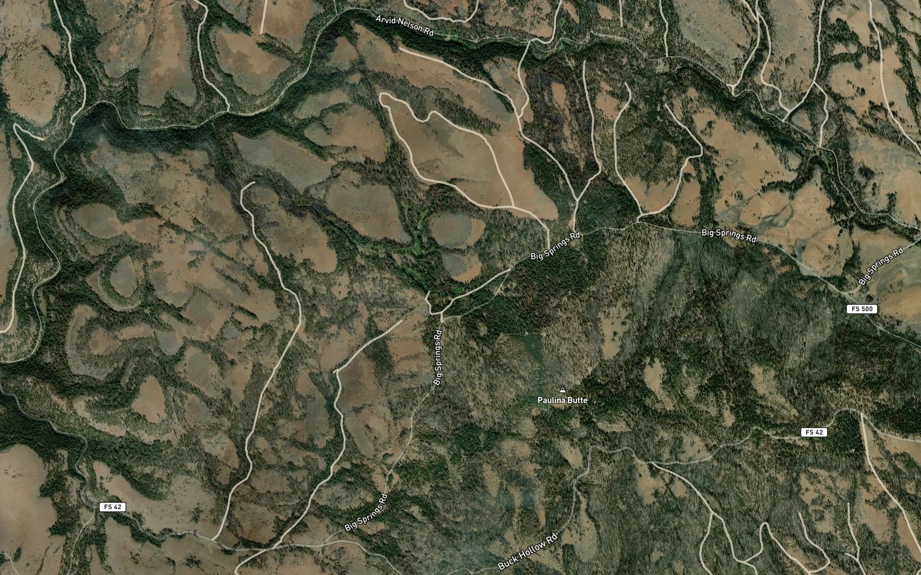 Satellite map of the Big Spring
