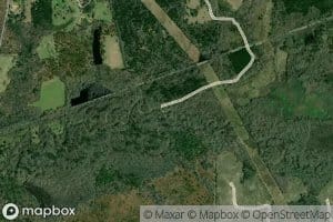 Scroggins Branch