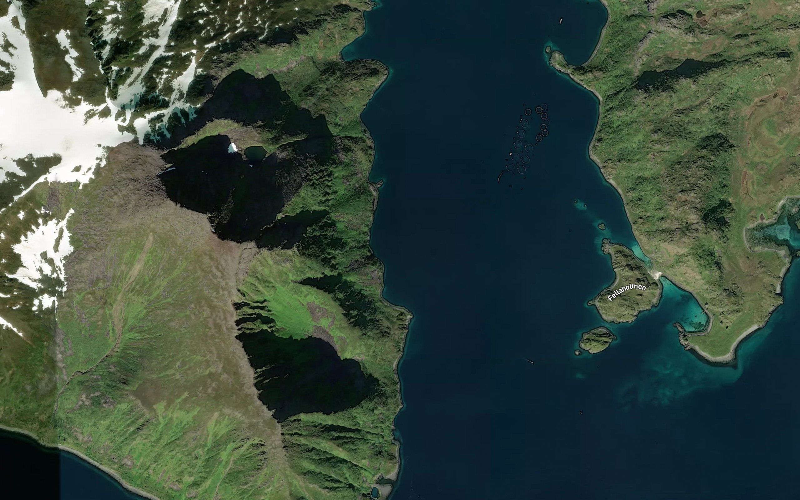 Ratenvika