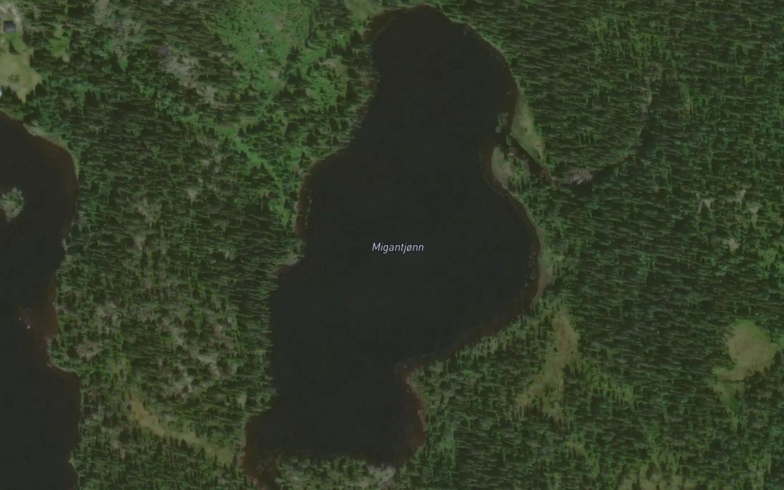 Migandtjorni