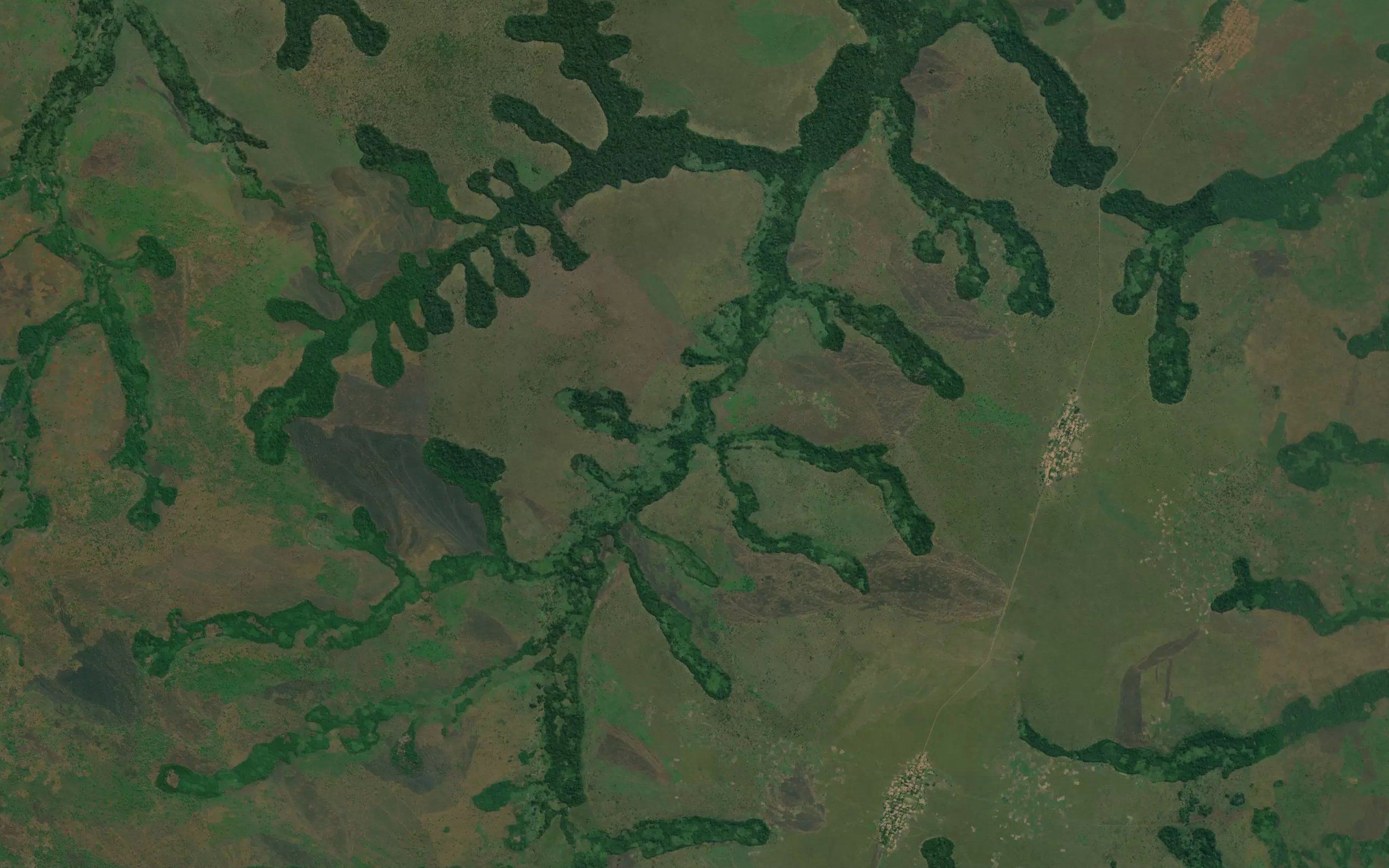 Mulupaka