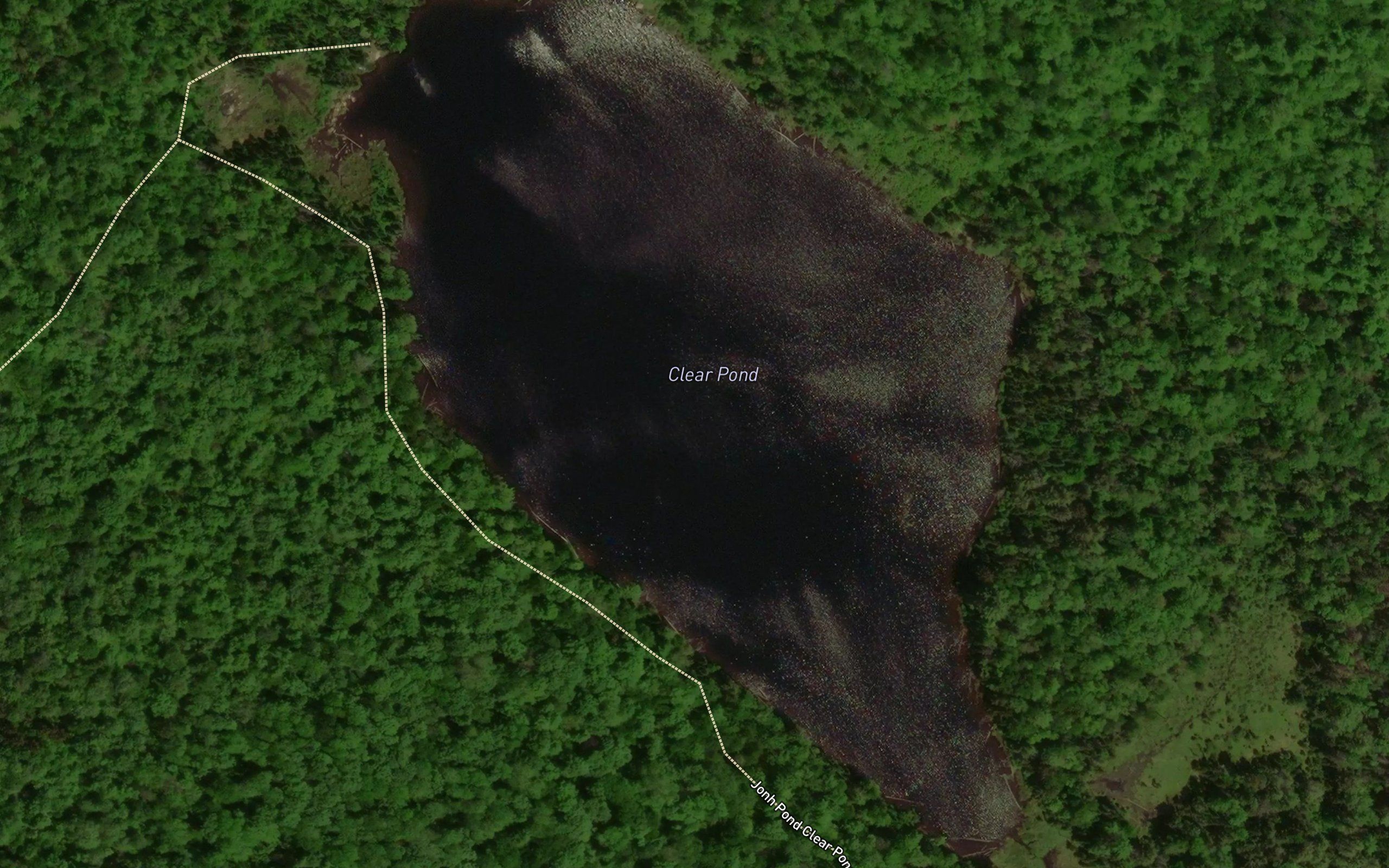 Clear Pond