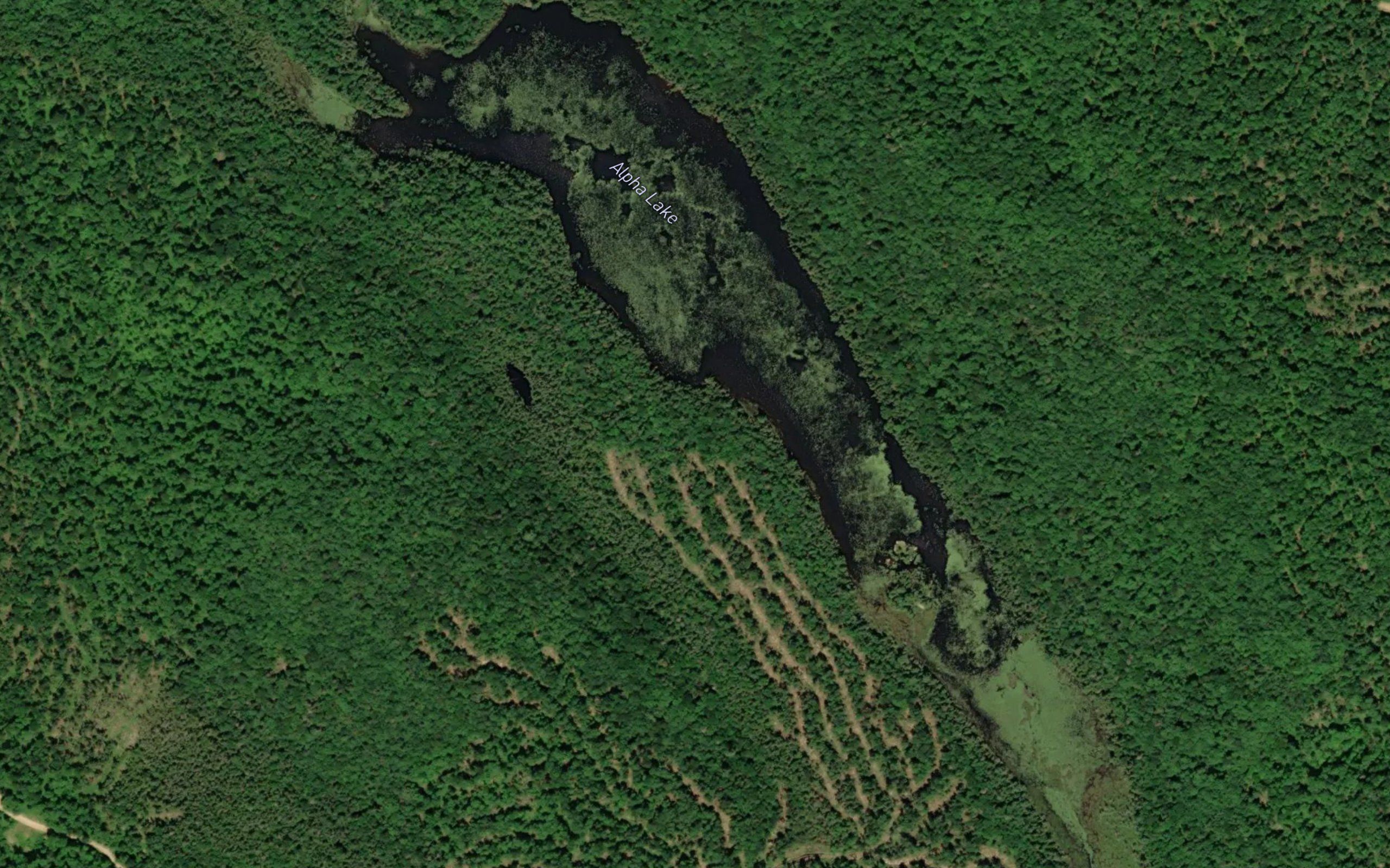 Alpha Lake