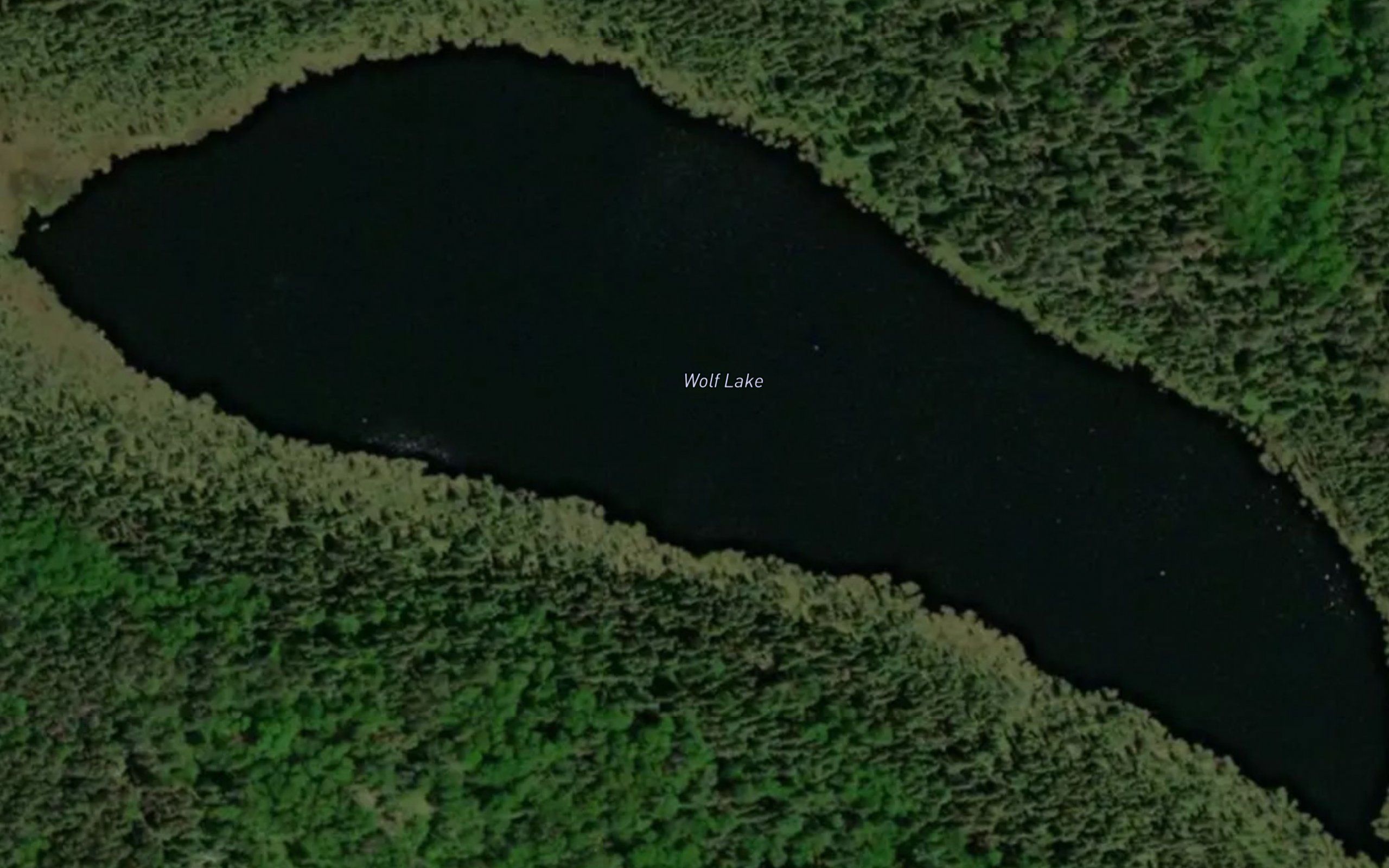 Wolf Lake