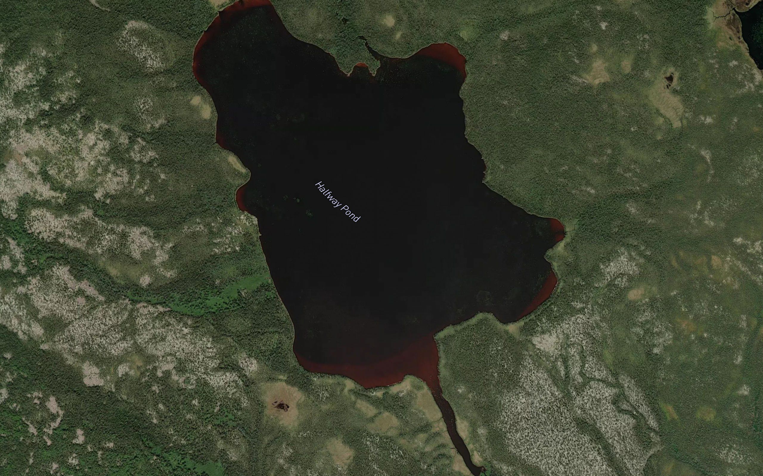 Etang Halfway