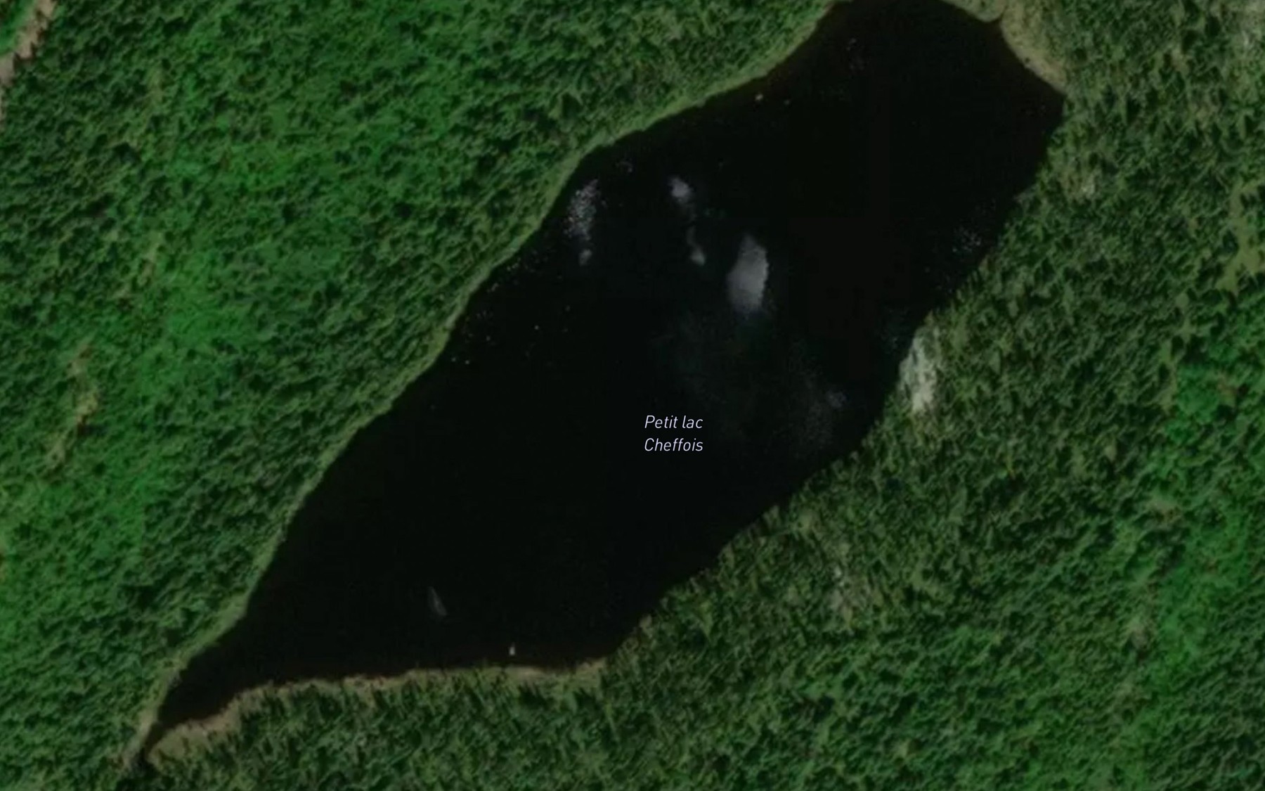 Satellite map of the Petit lac Cheffois