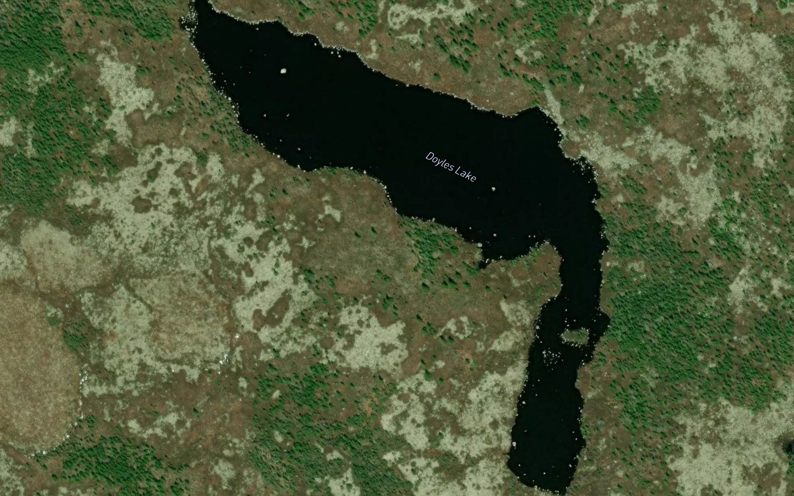 Doyles Lake