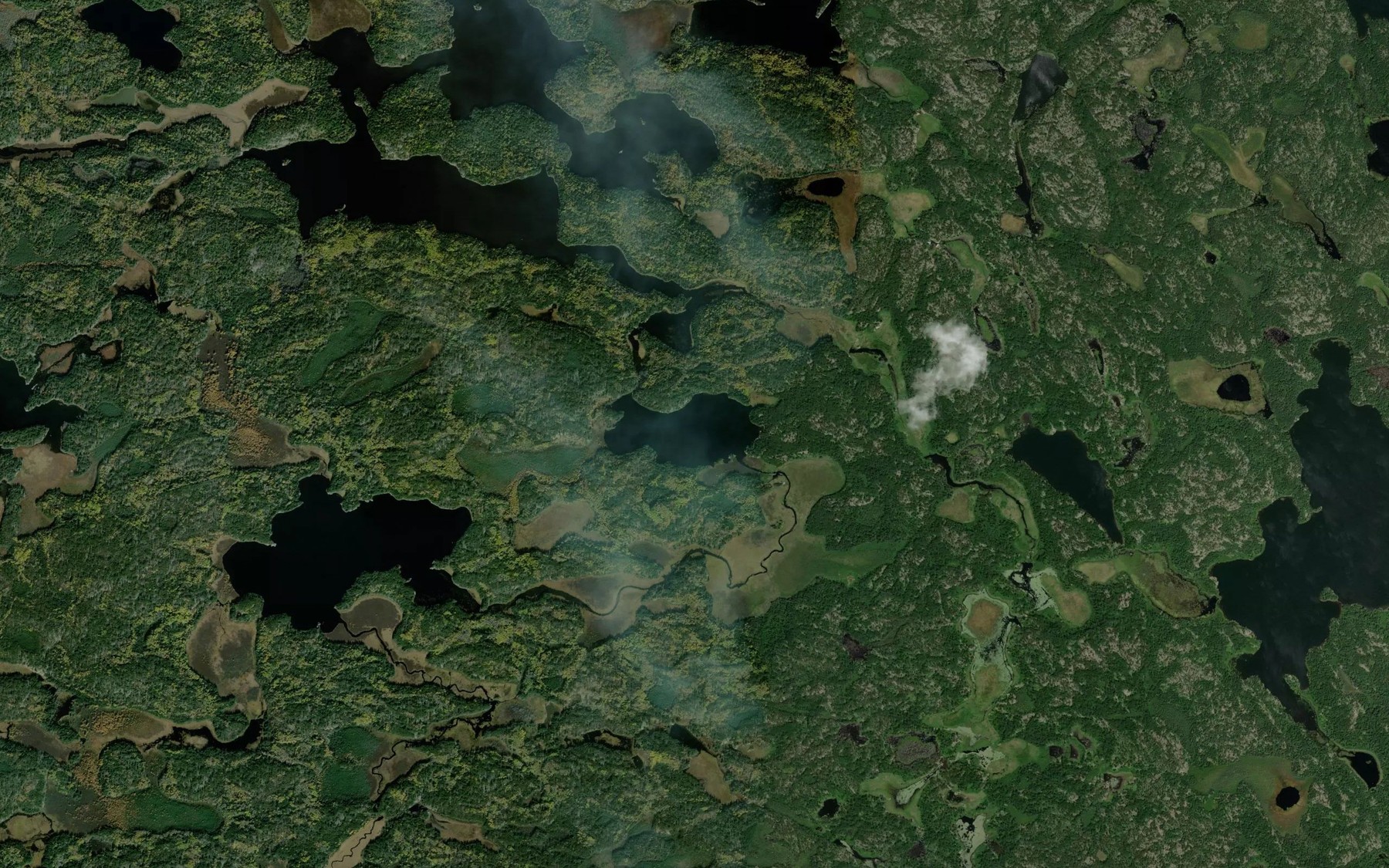Satellite map of the Martins Lake