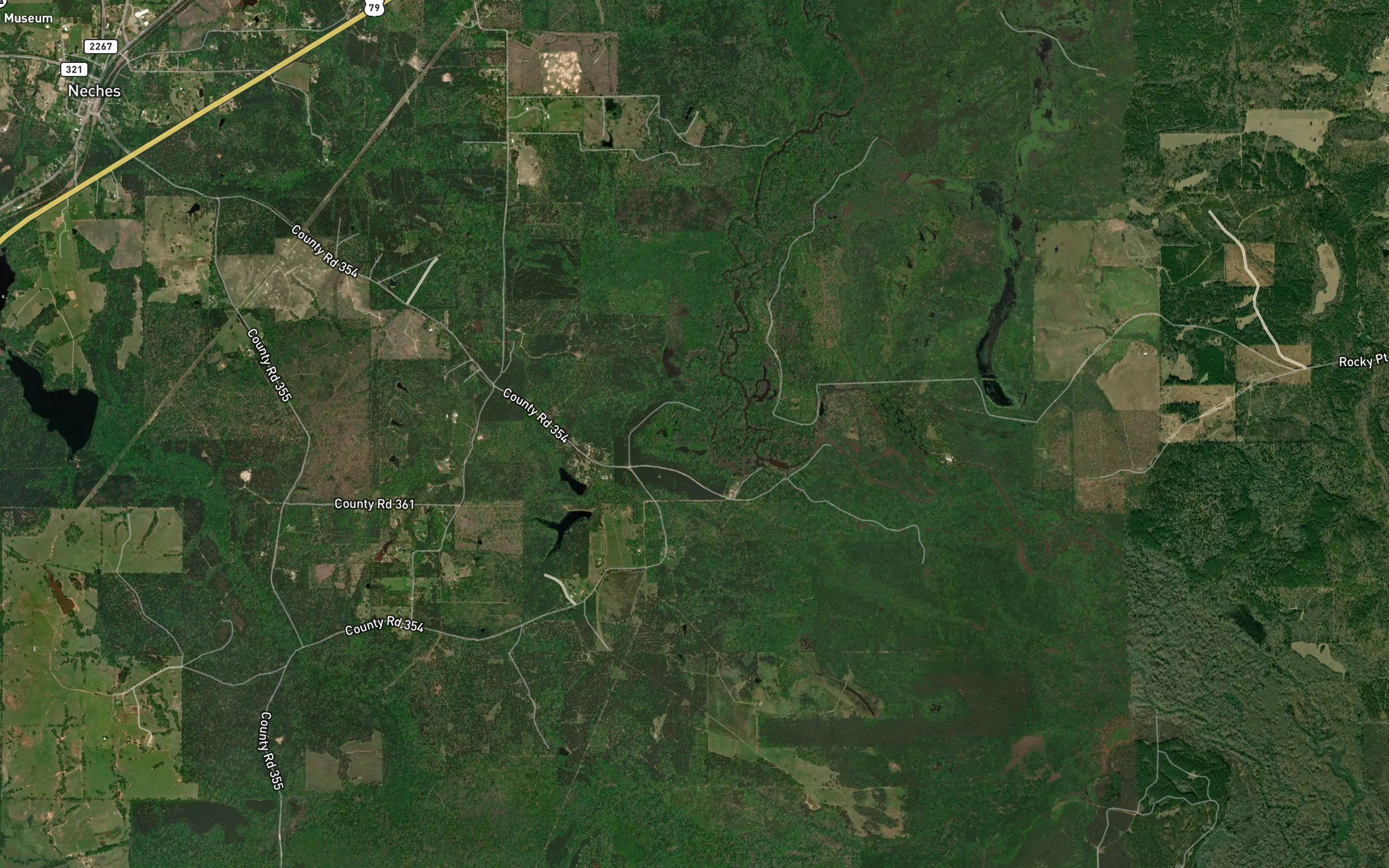 Turtle Slough