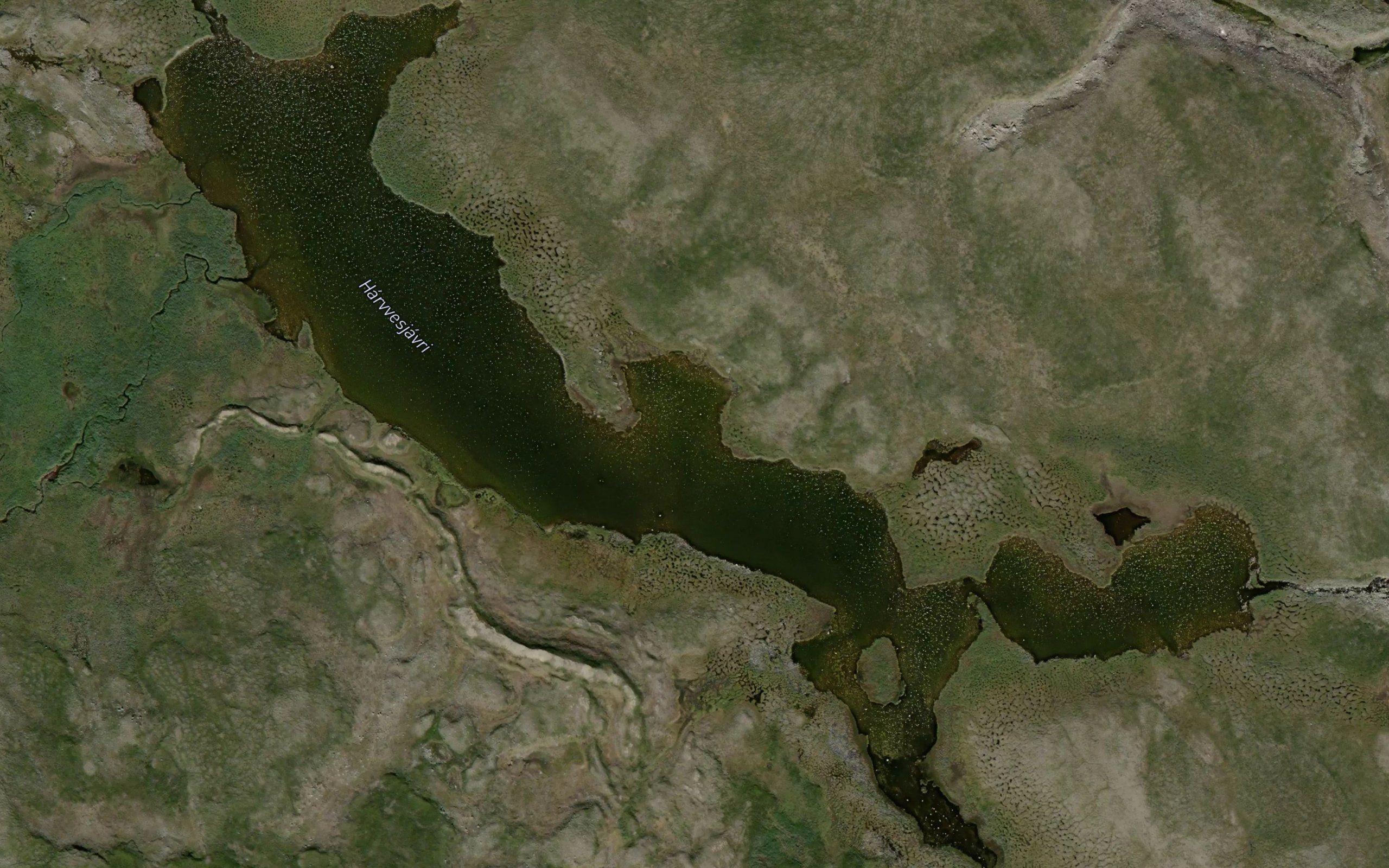 Harvvesjavri