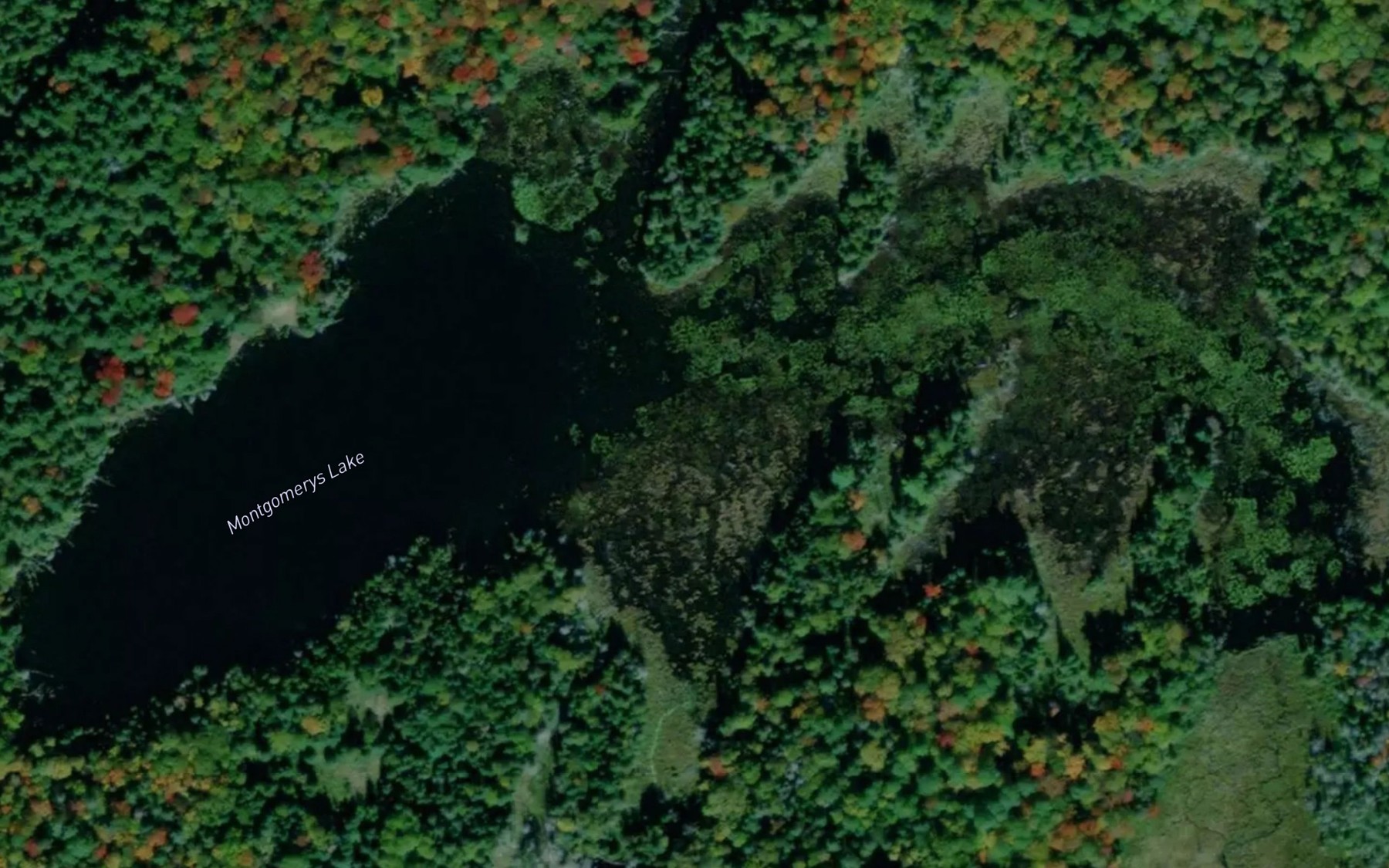 Satellite map of the Montgomerys Lake