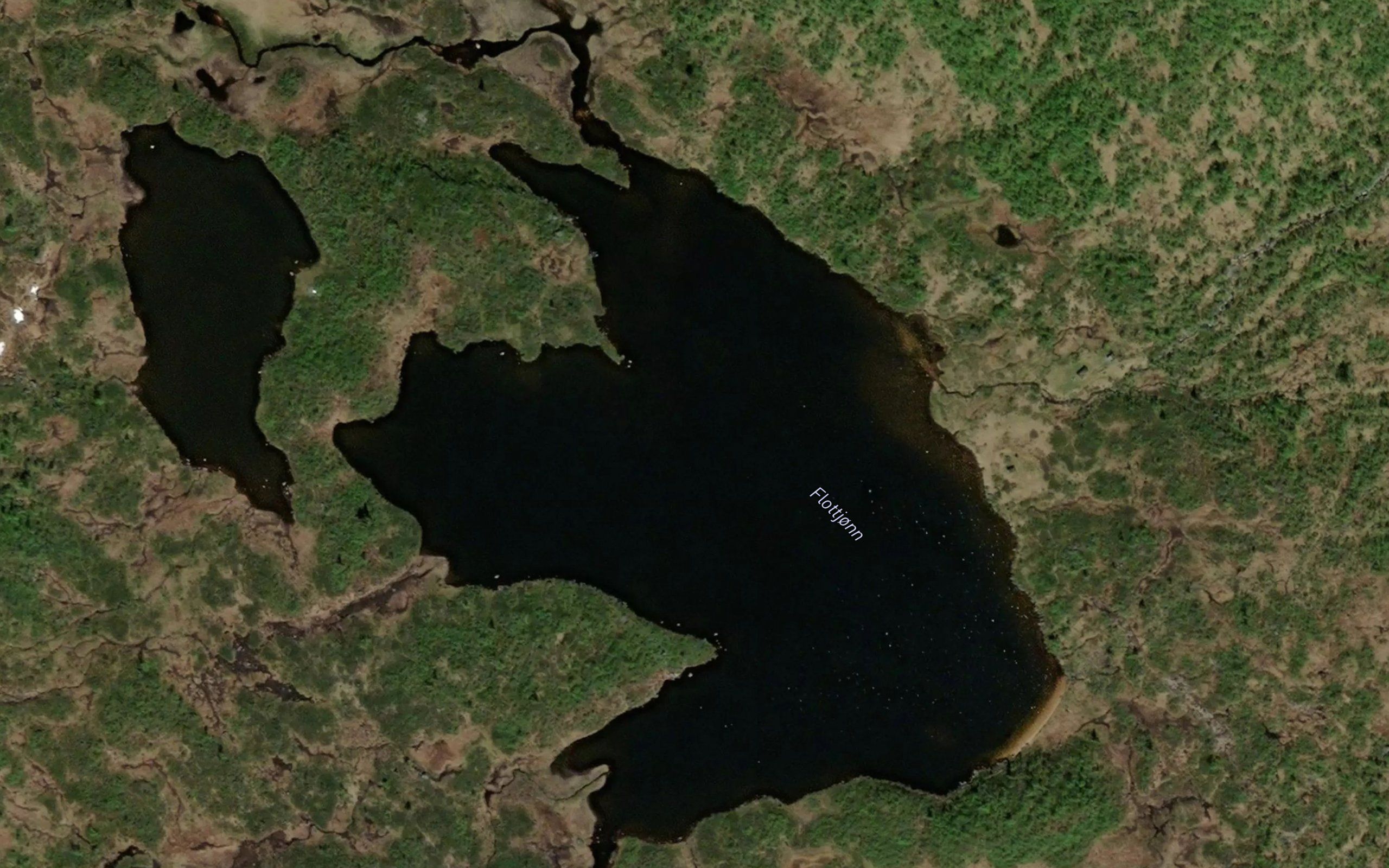 Flottjorn