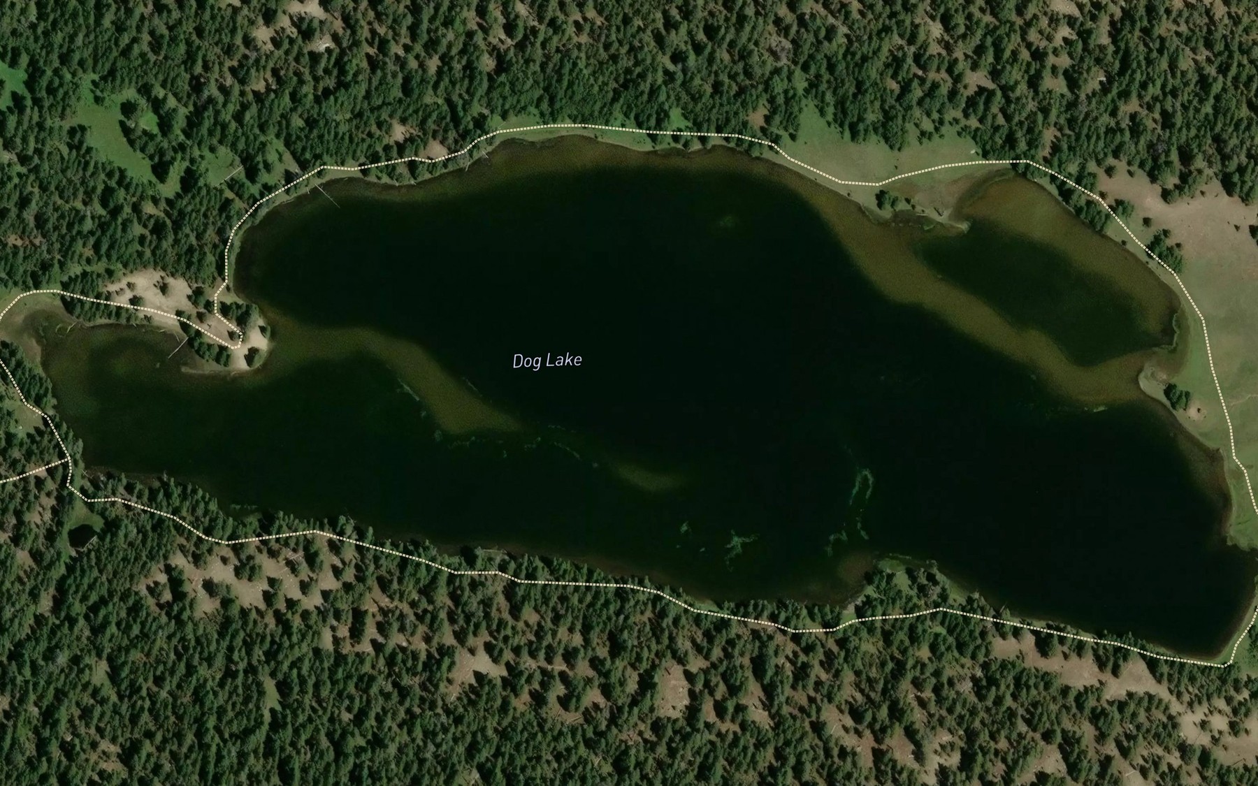 Satellite map of the Dog Lake