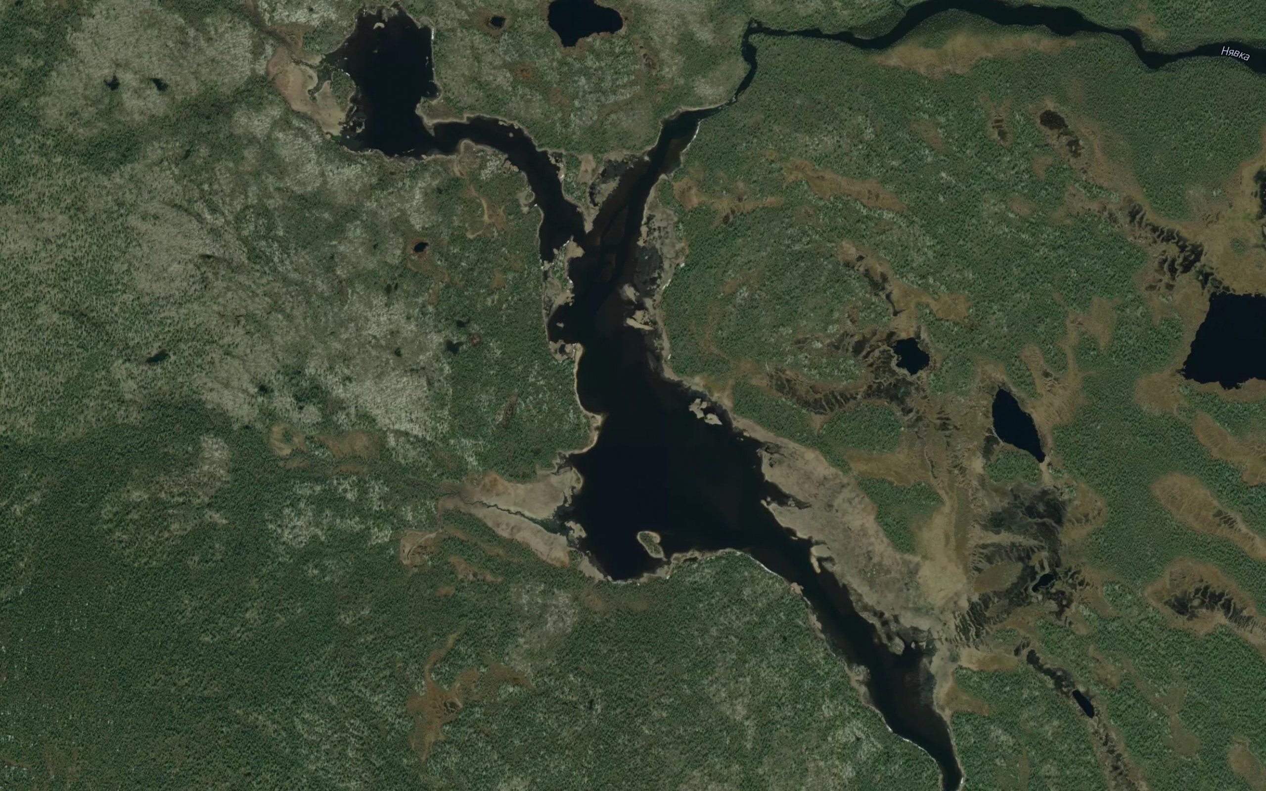 Nyavka