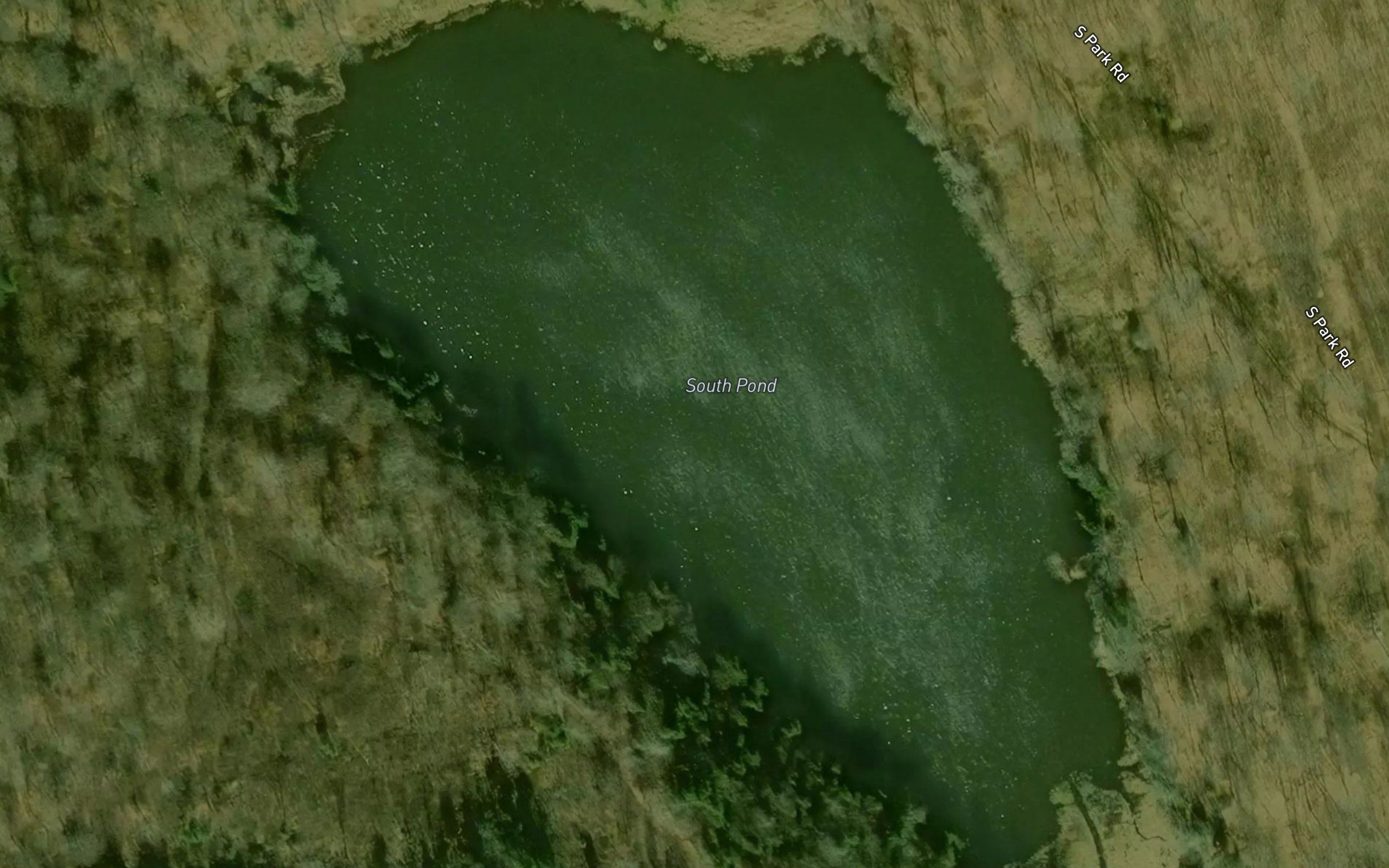 South Pond