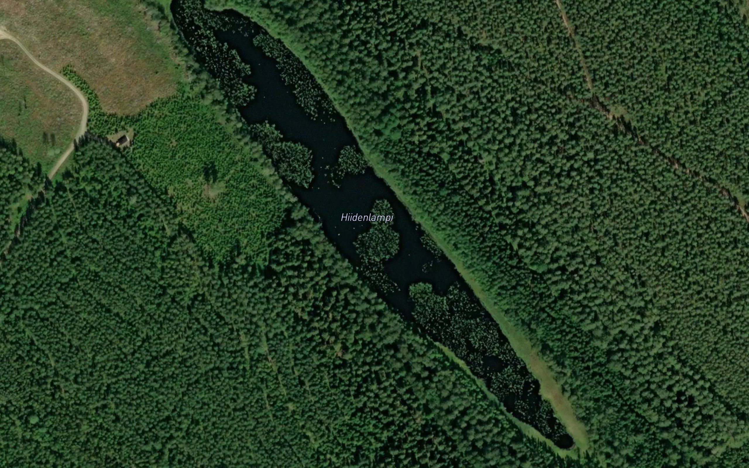 Hiidenlampi
