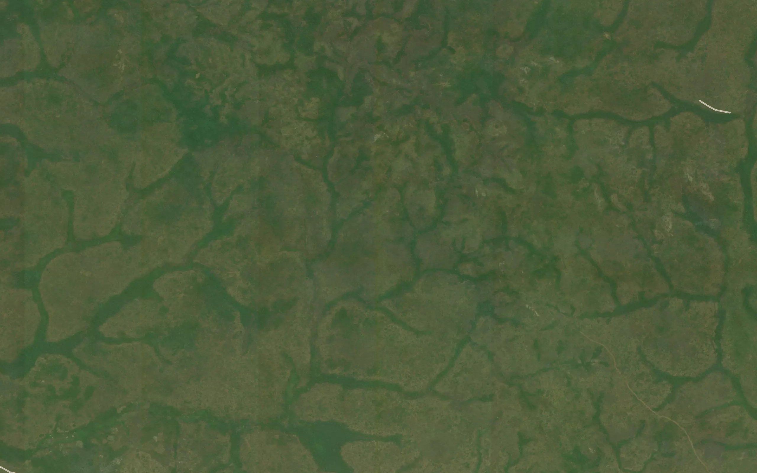 Libobo